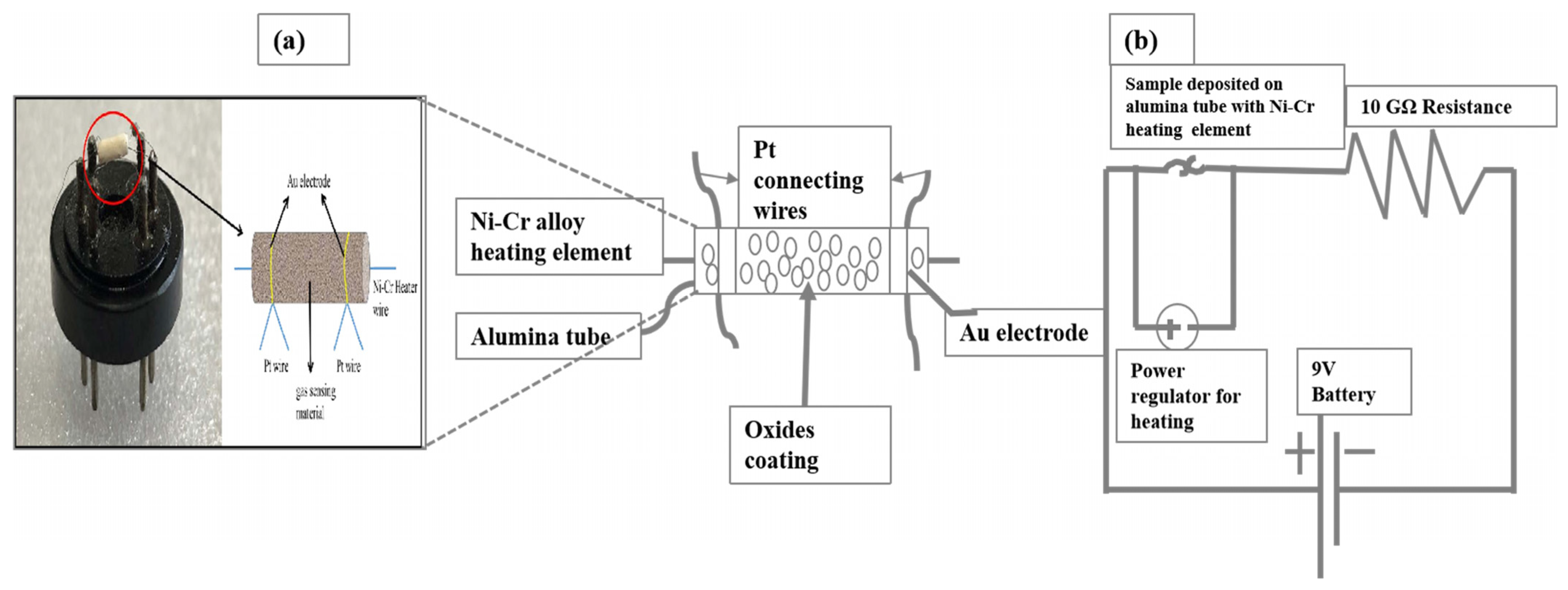 Molecules 28 03230 g008