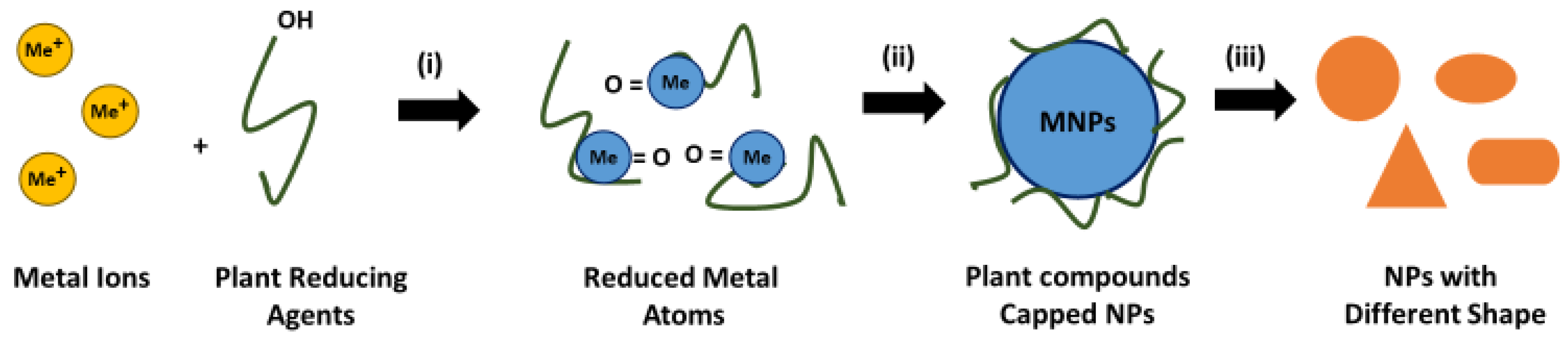 Molecules 28 03240 g001