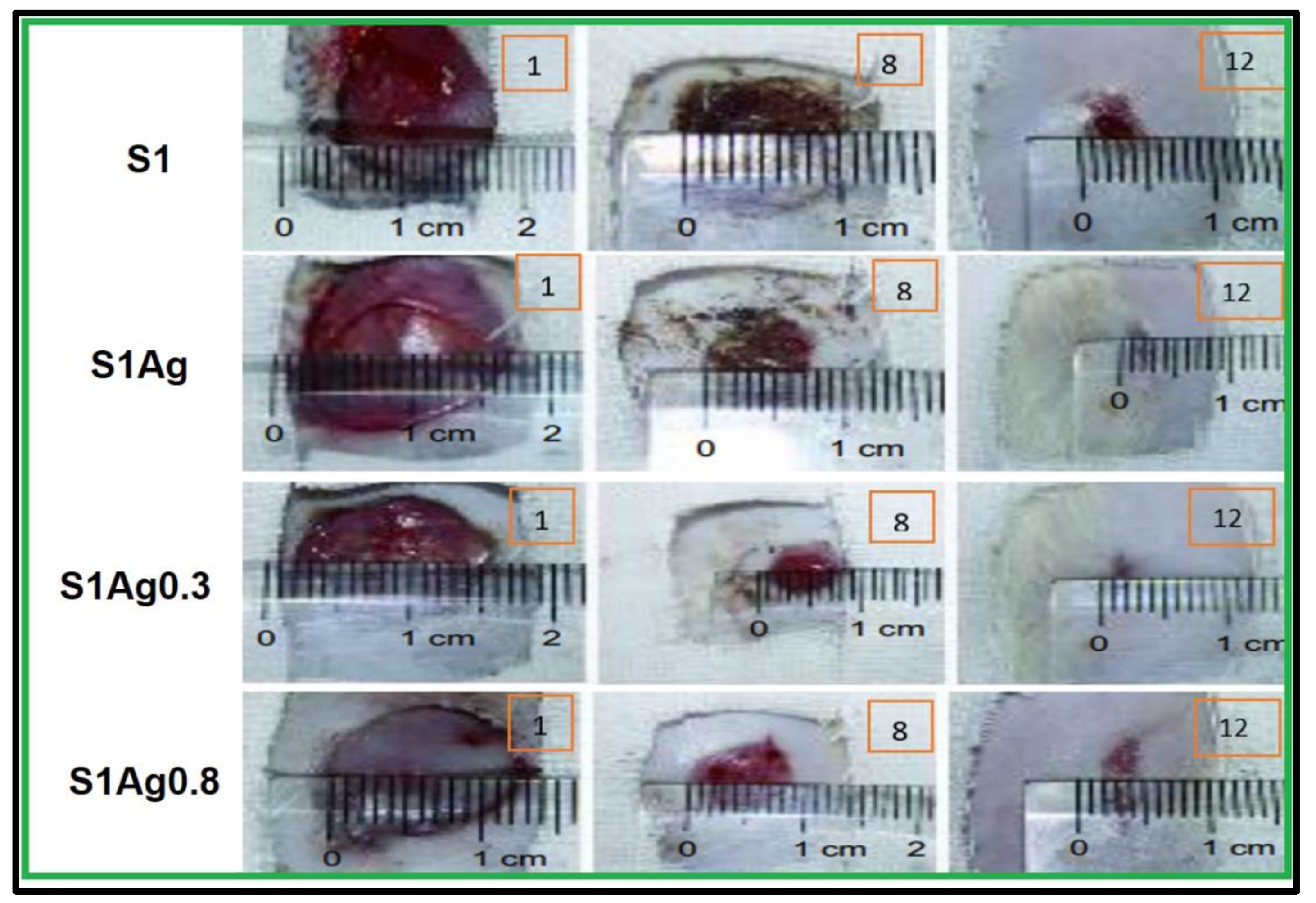 Molecules 28 03241 g006