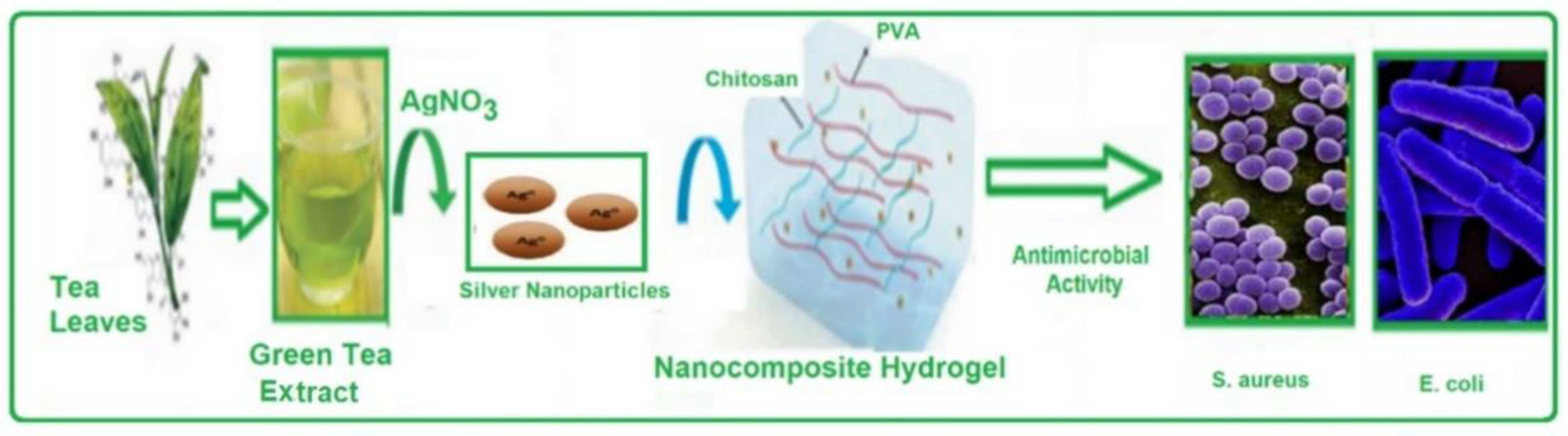 Molecules 28 03241 g009