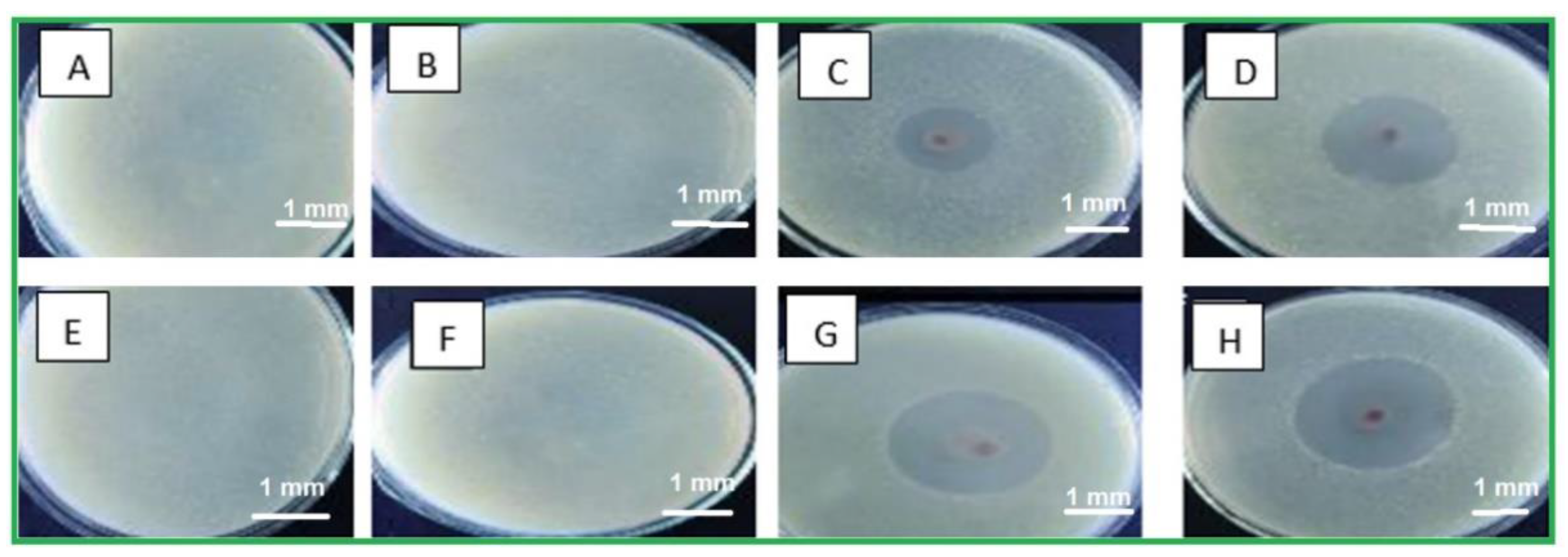 Molecules 28 03241 g010
