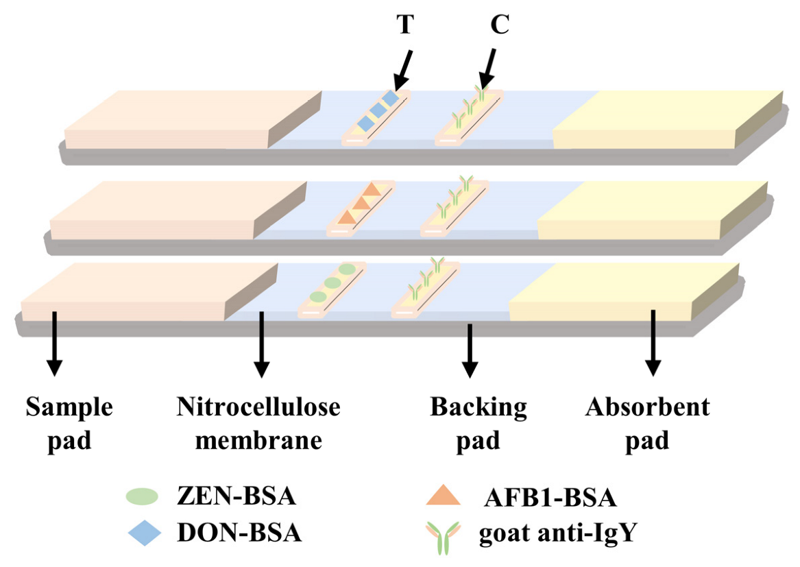 Molecules 28 03260 g004