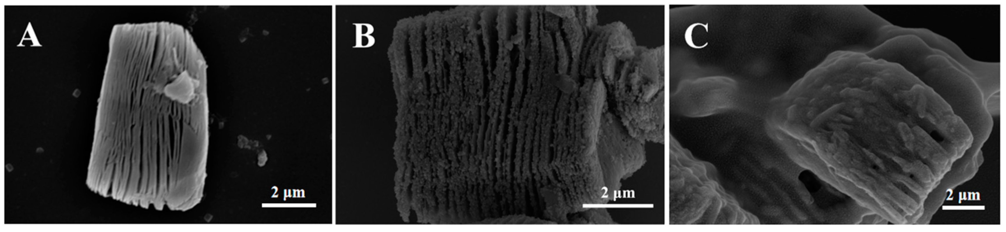 Molecules 28 03262 g001