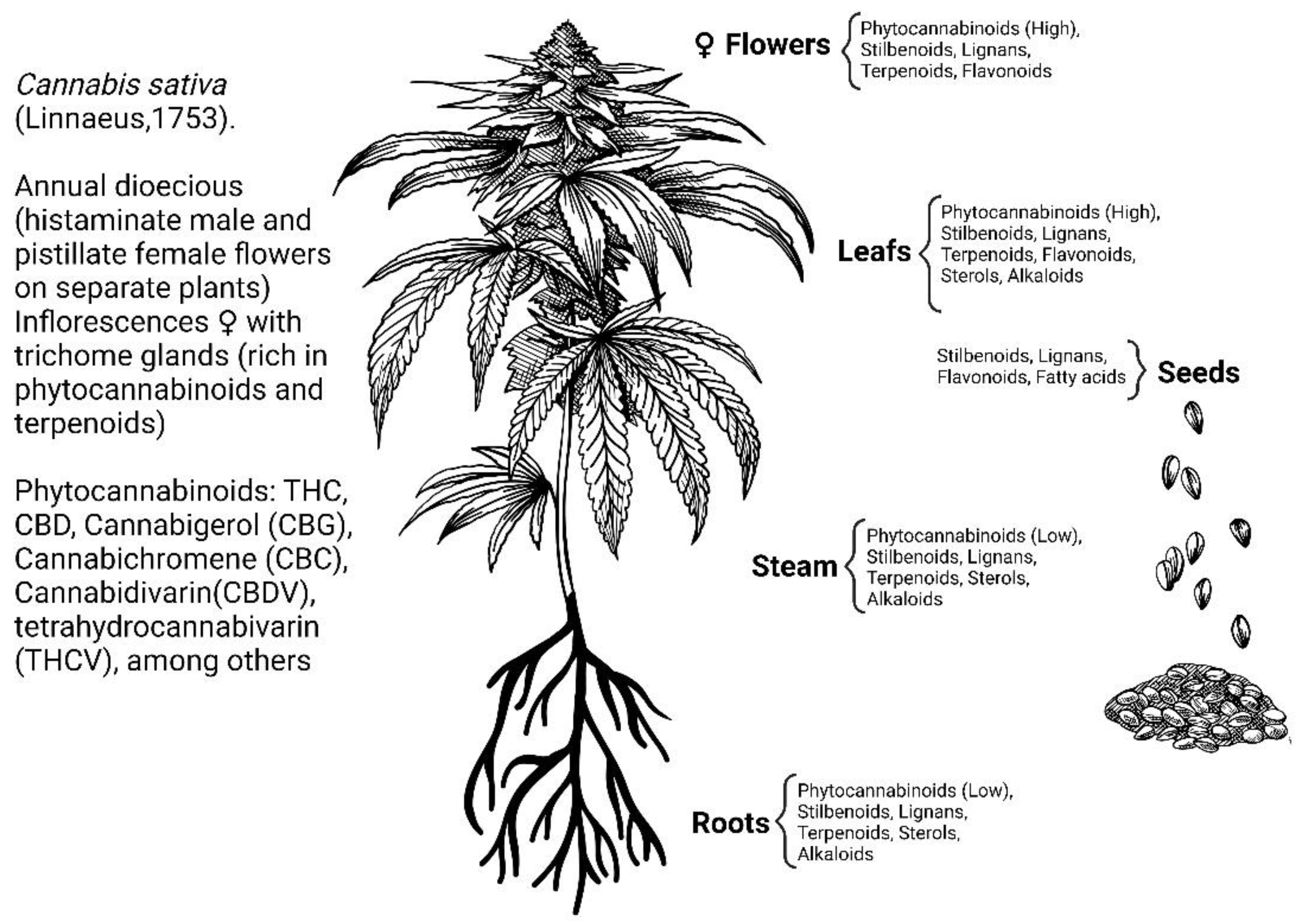 Molecules 28 03271 g001