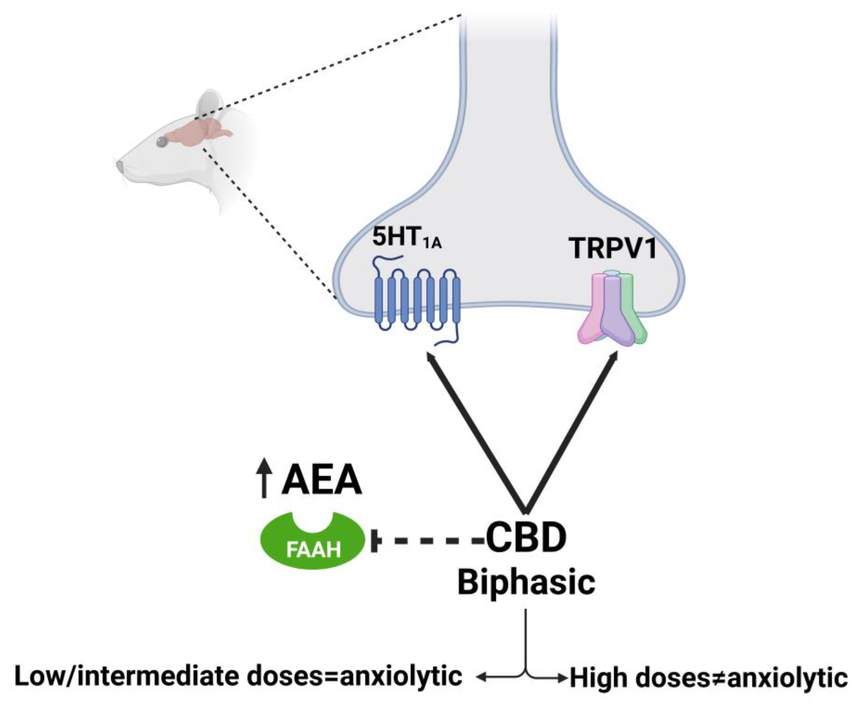 Molecules 28 03271 g005