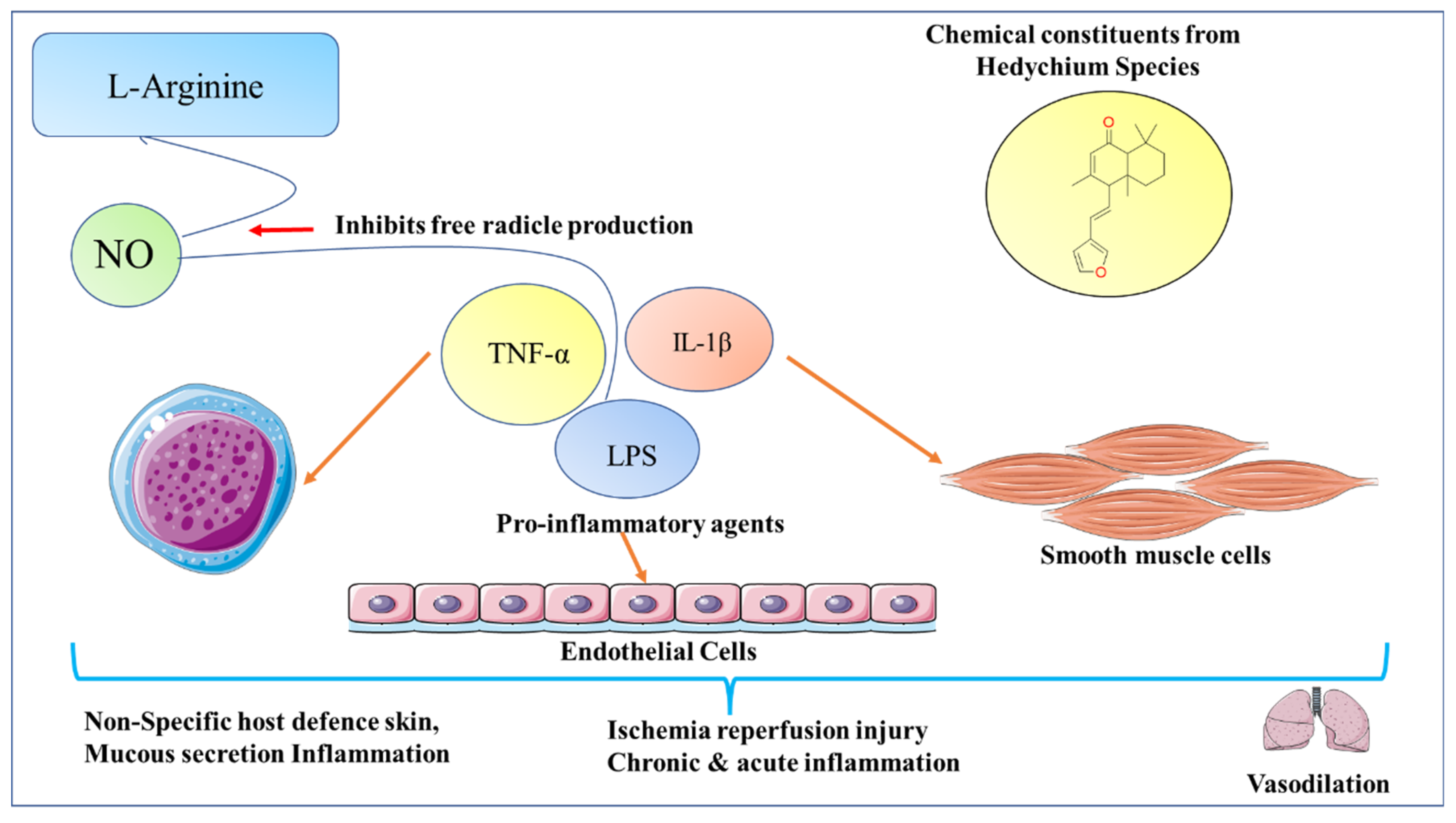 Molecules 28 03278 g009