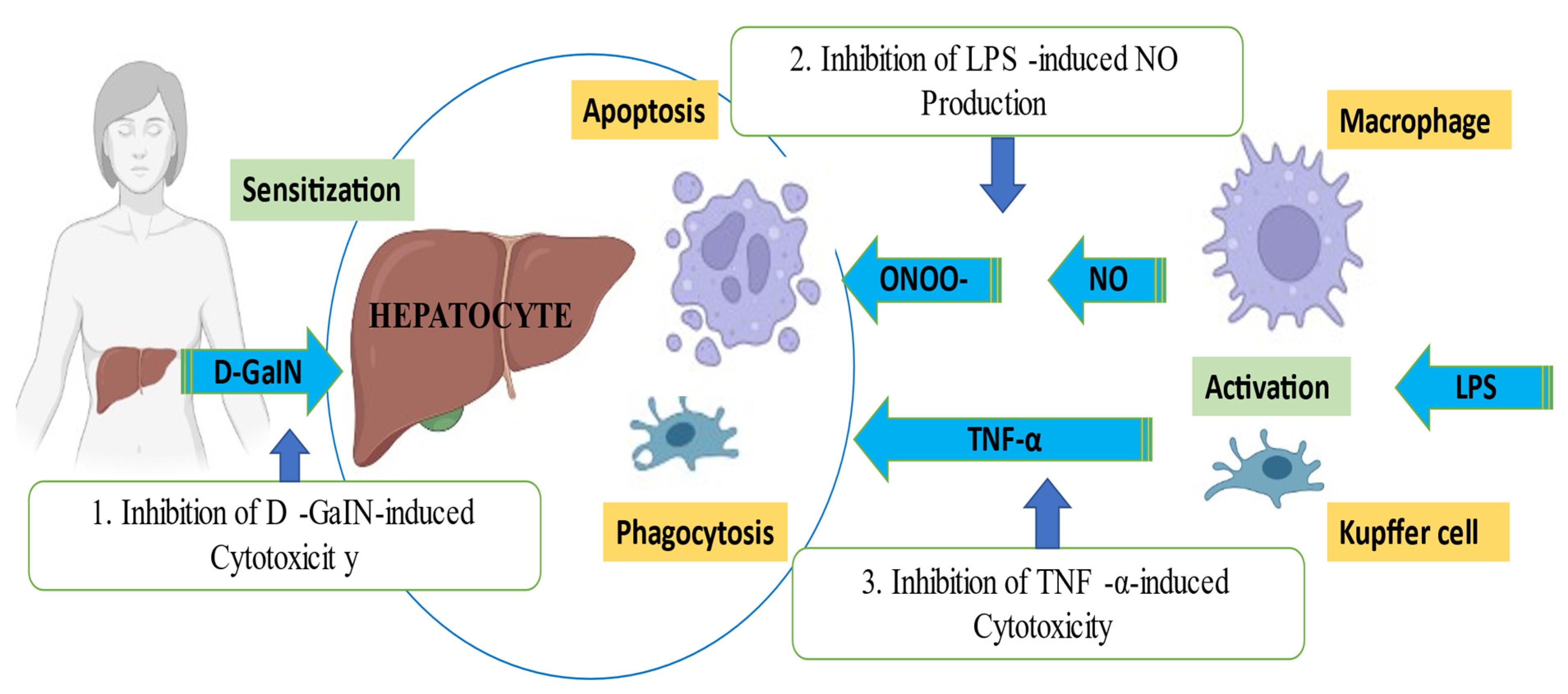 Molecules 28 03278 g010