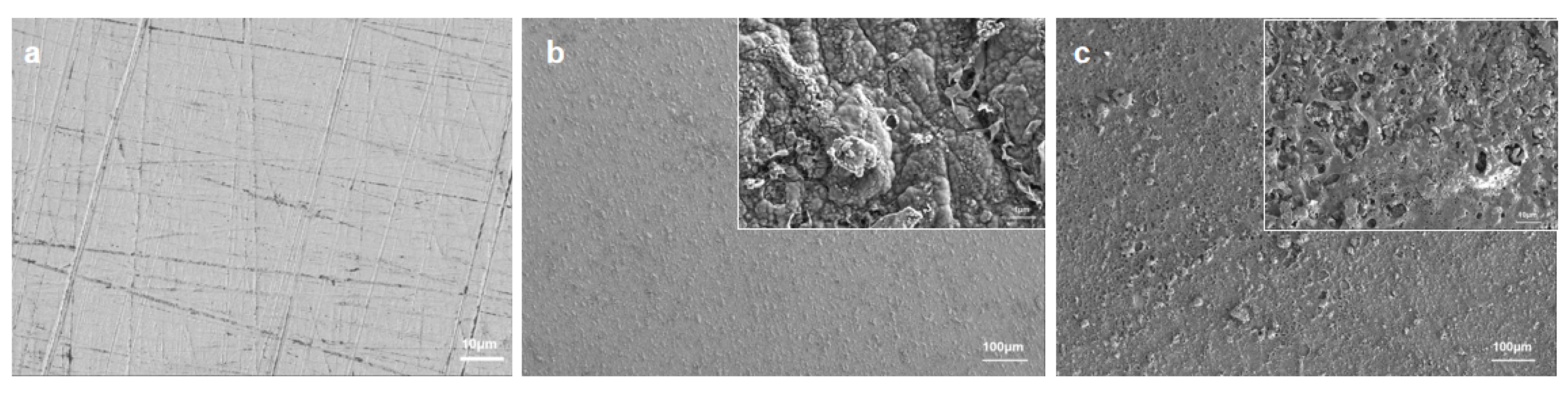 Molecules 28 03279 g005