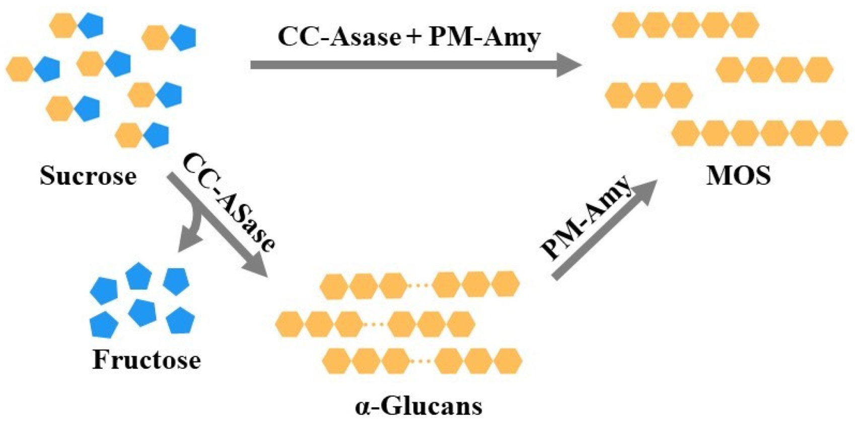 Molecules 28 03281 g006