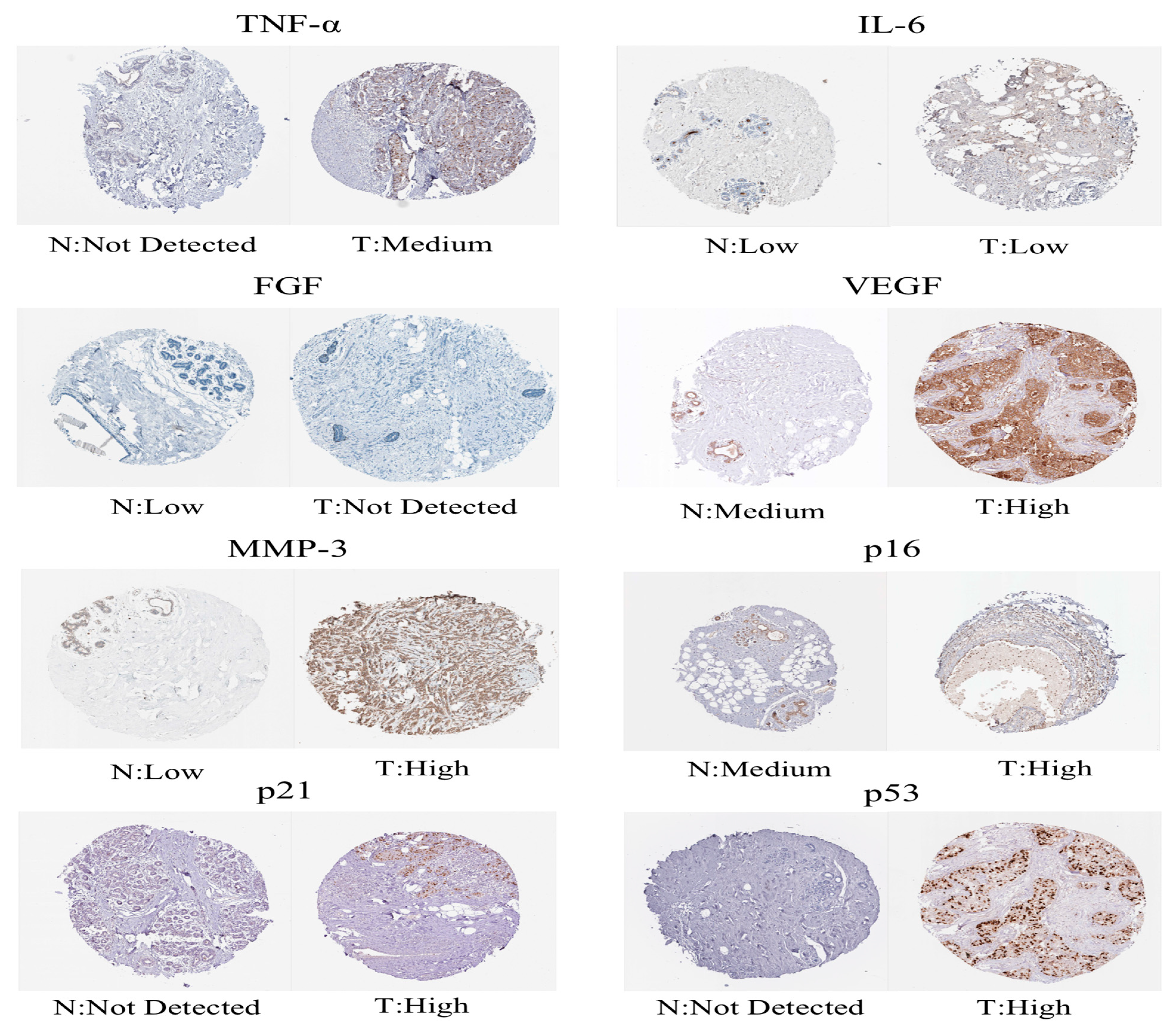 Molecules 28 03283 g003