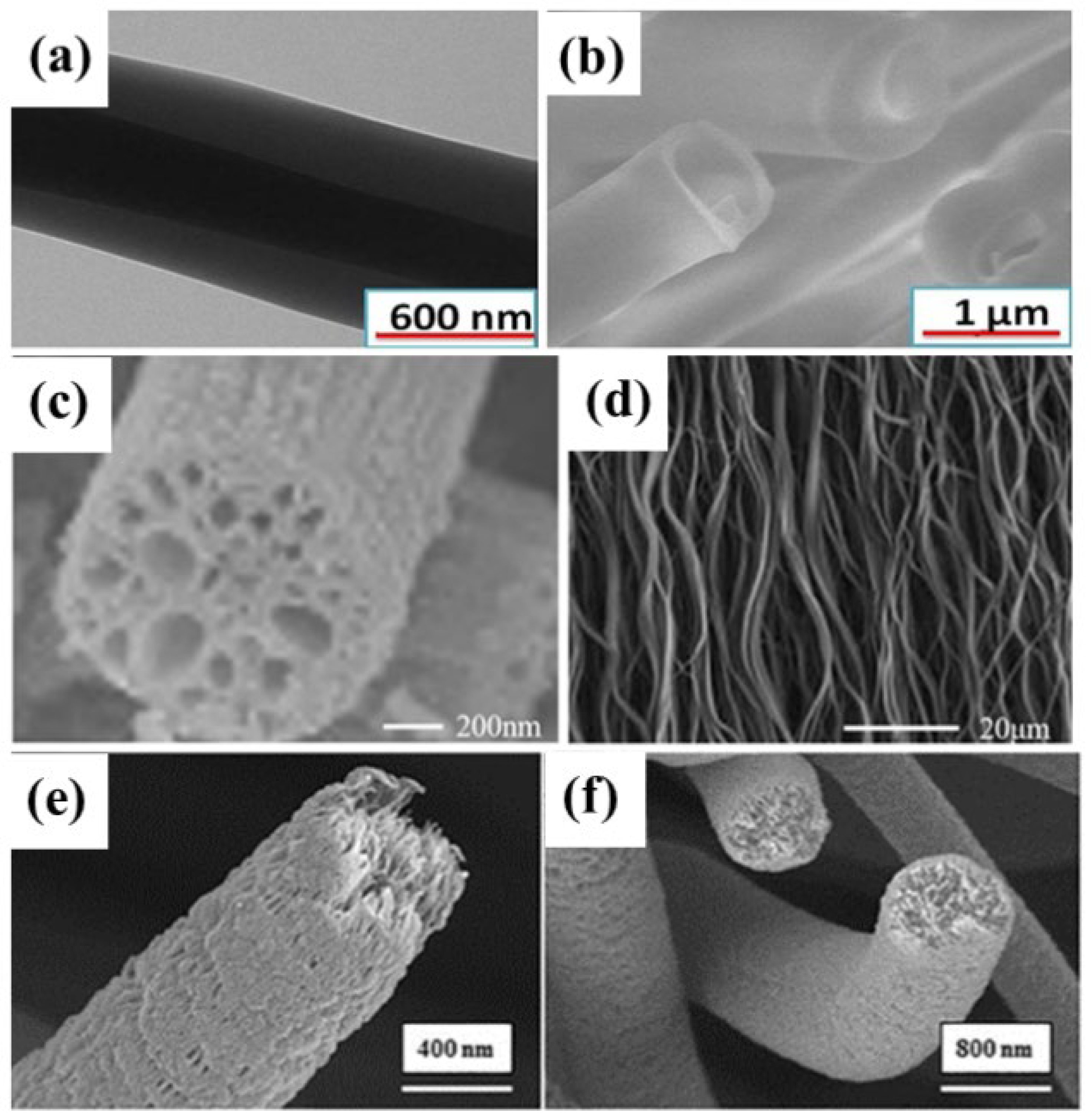 Molecules 28 03288 g004 Molecules 28 03288 g004