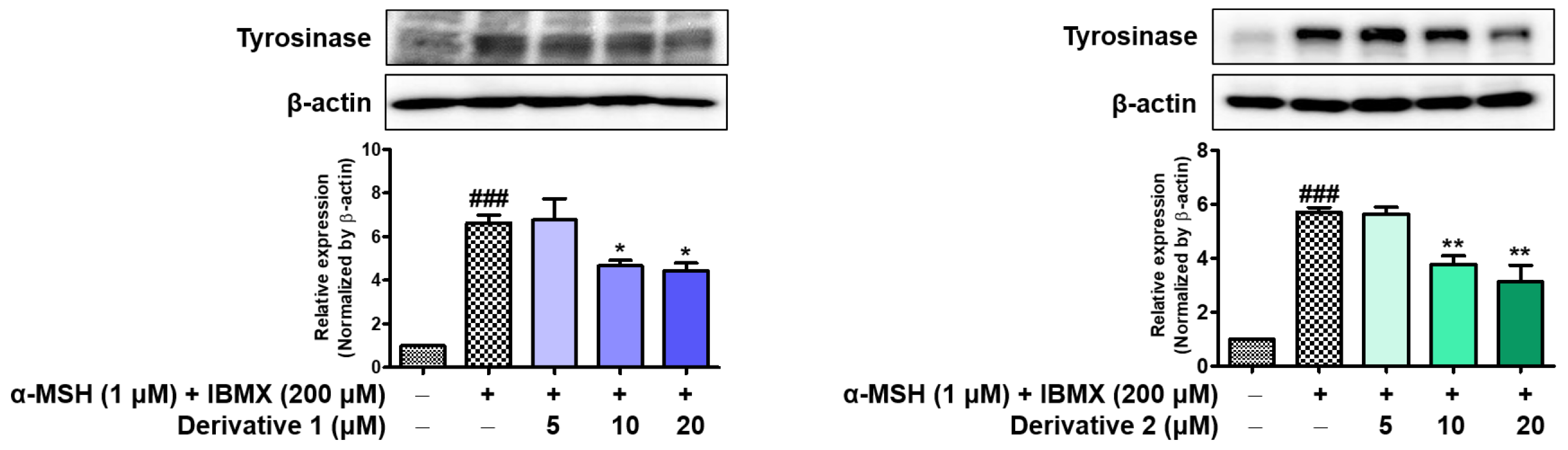 Molecules 28 03293 g013