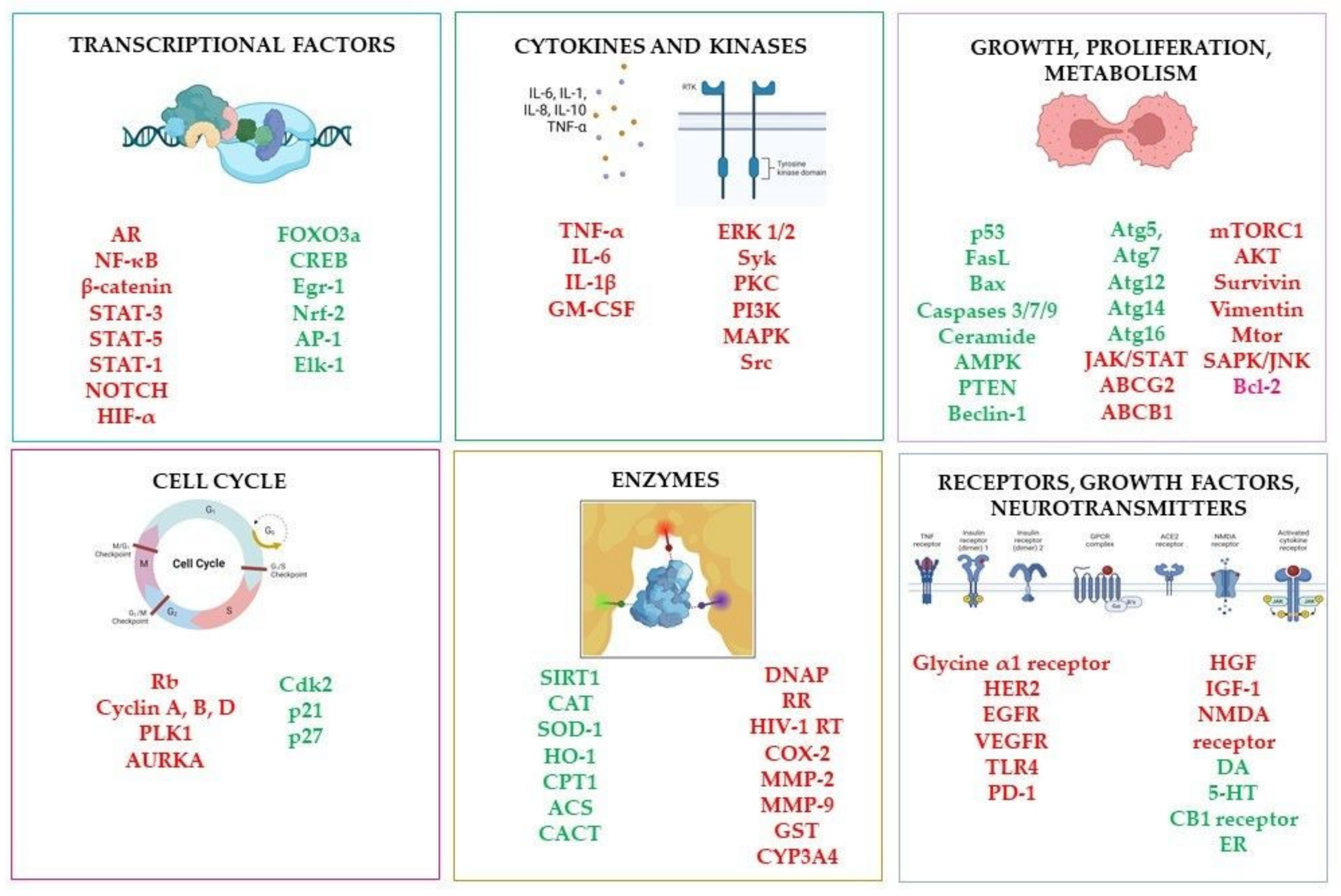 Molecules 28 03297 g004