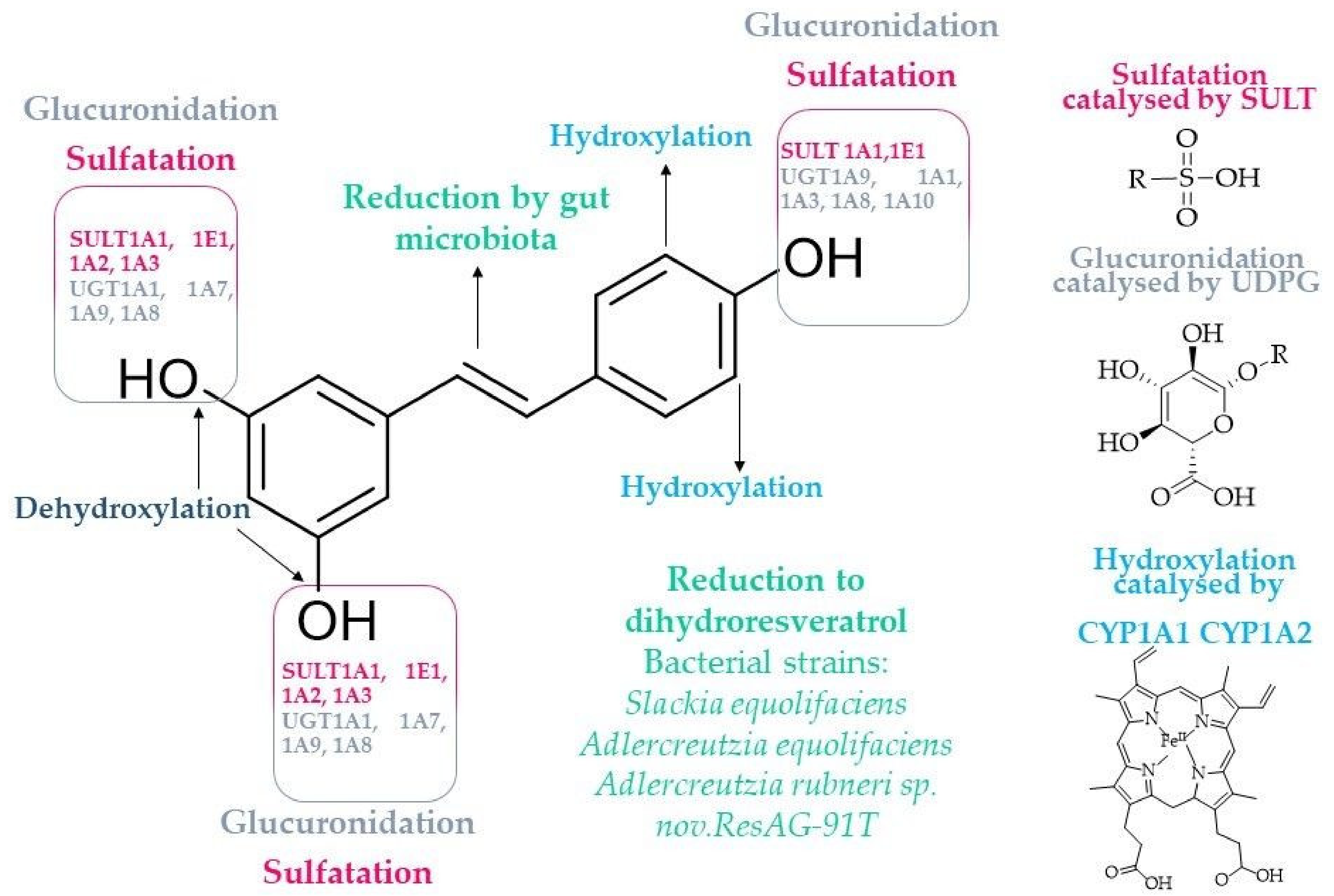 Molecules 28 03297 g005