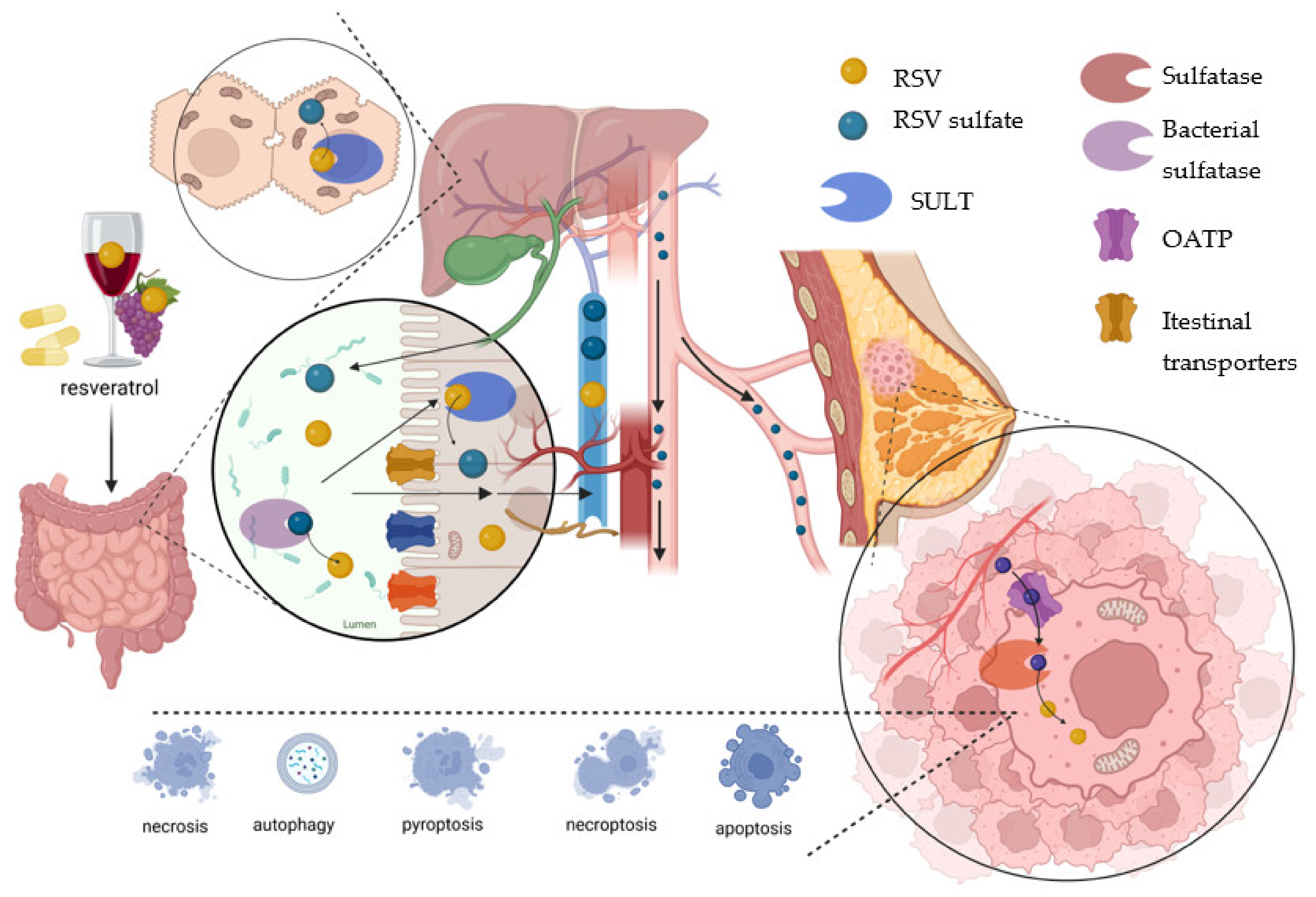 Molecules 28 03297 g006