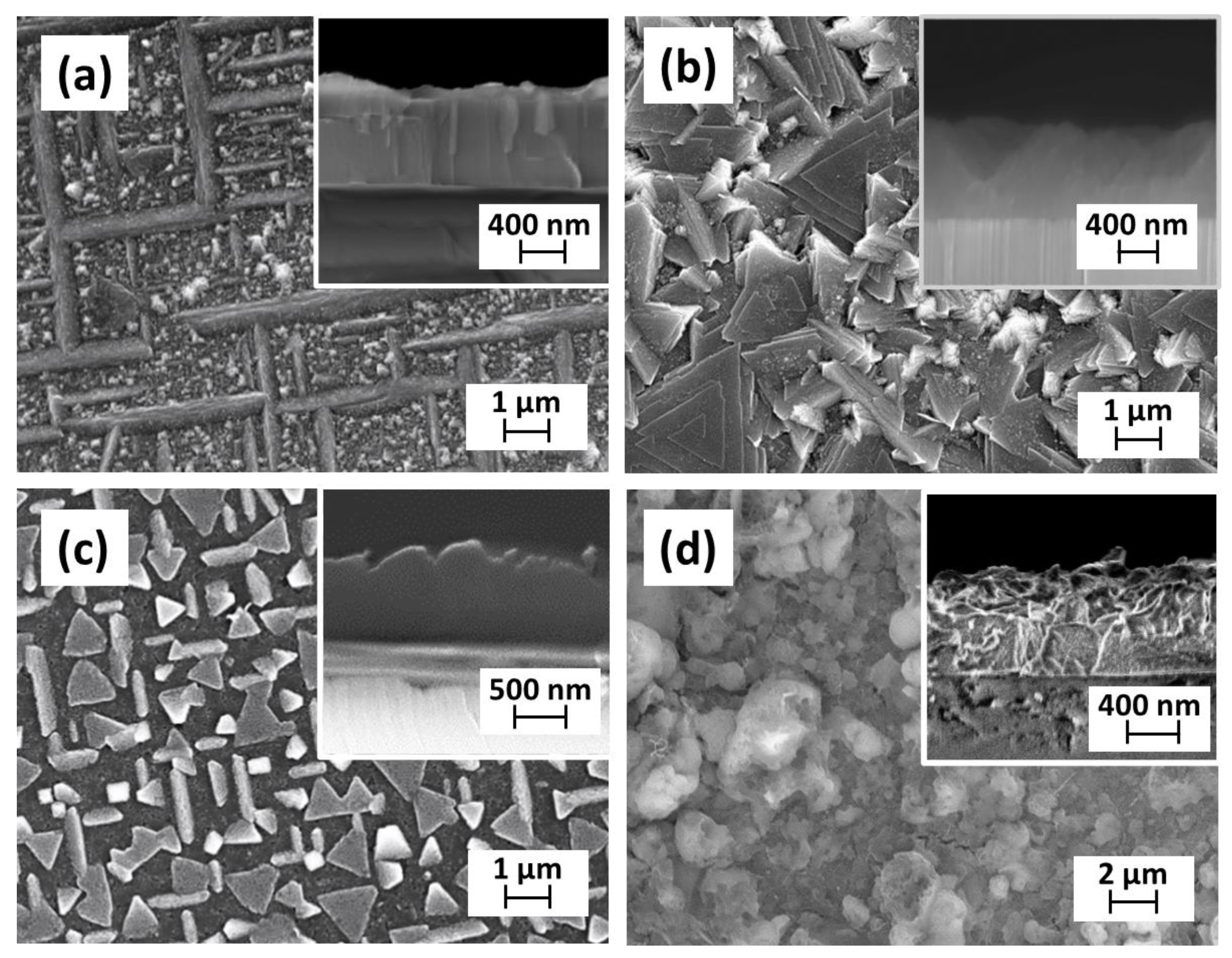 Molecules 28 03303 g003