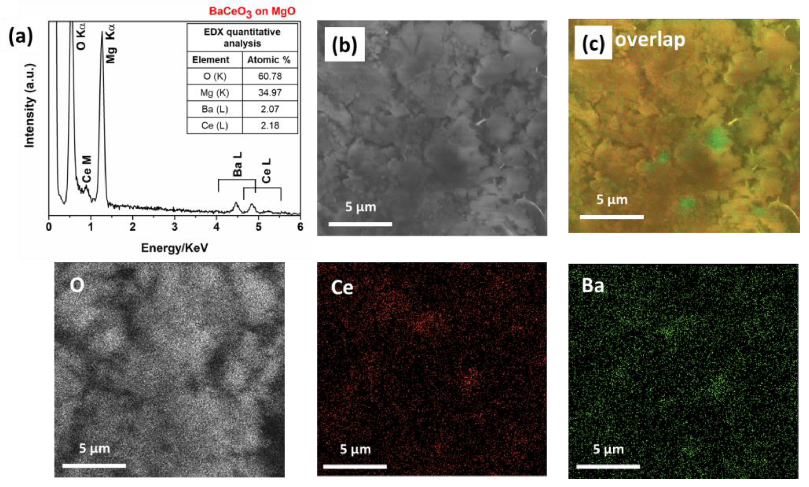 Molecules 28 03303 g004