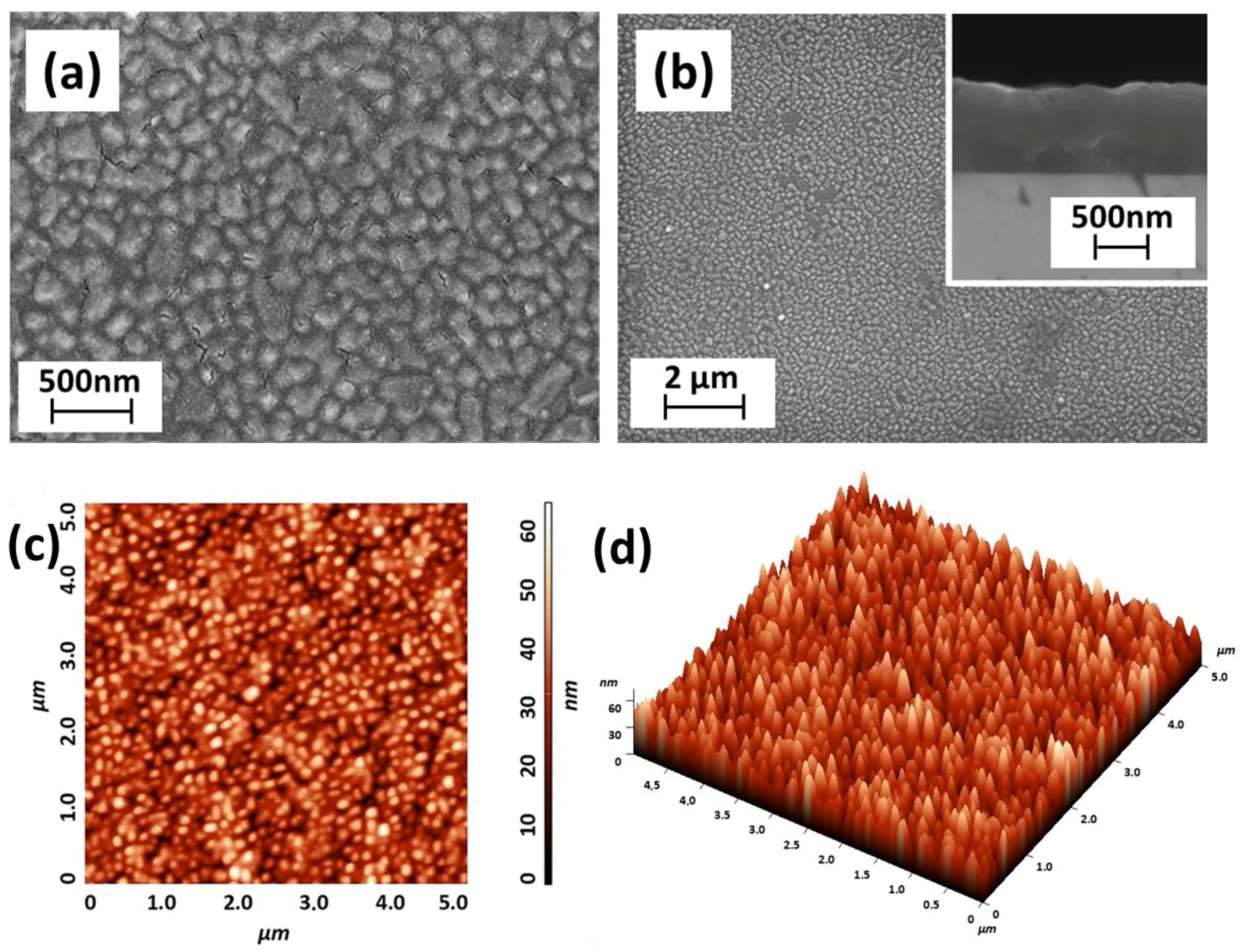 Molecules 28 03303 g007