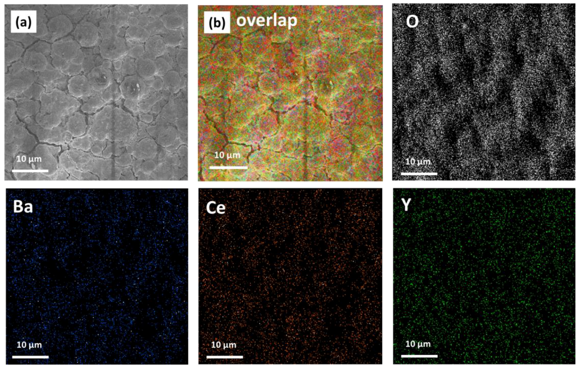 Molecules 28 03303 g009
