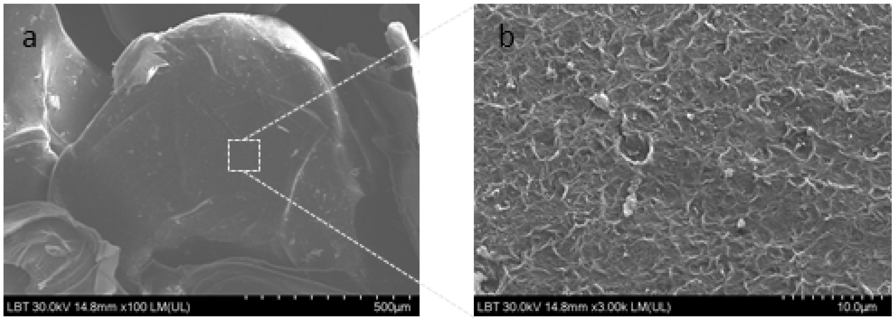 Molecules 28 03305 g001 Molecules 28 03305 g001