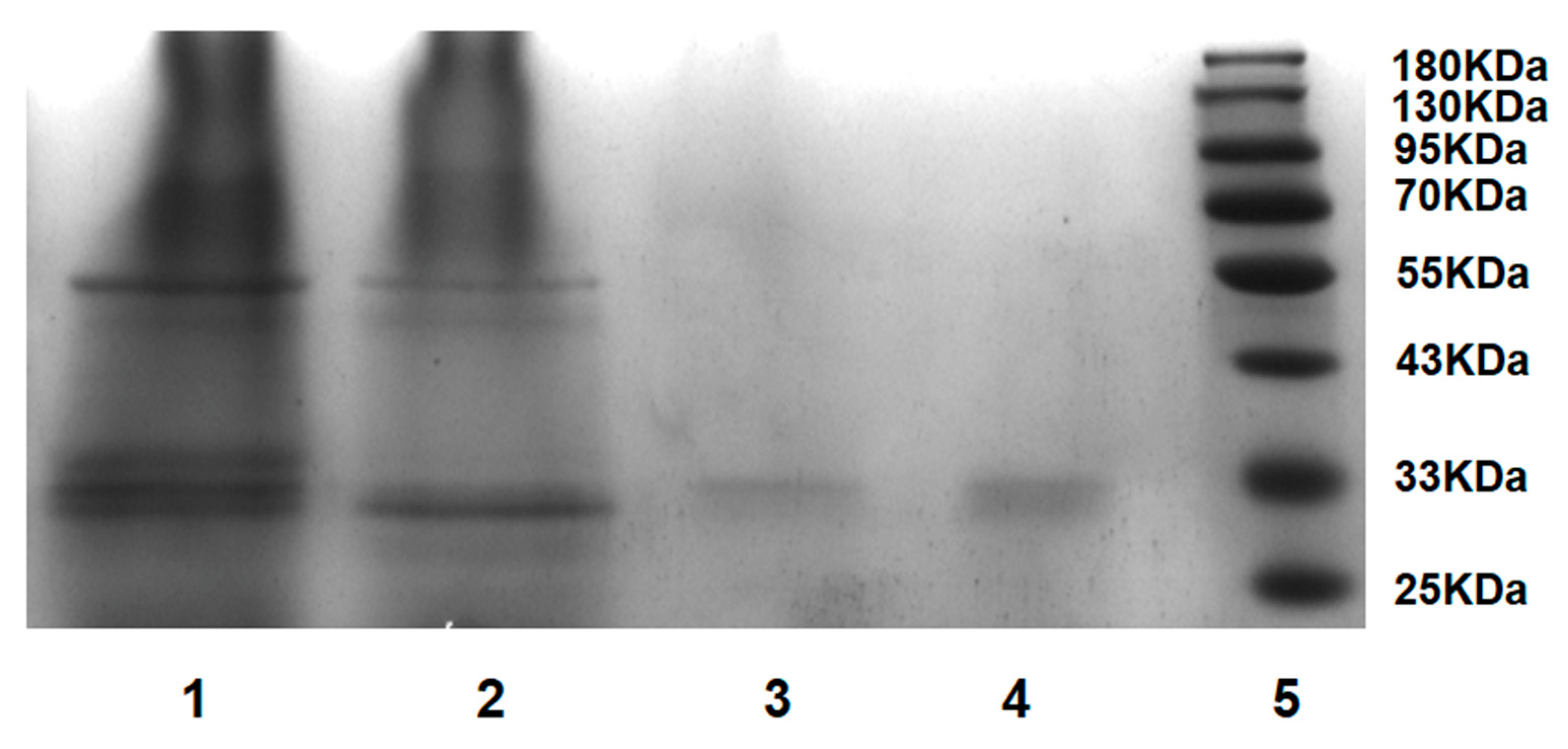 Molecules 28 03307 g008 Molecules 28 03307 g008