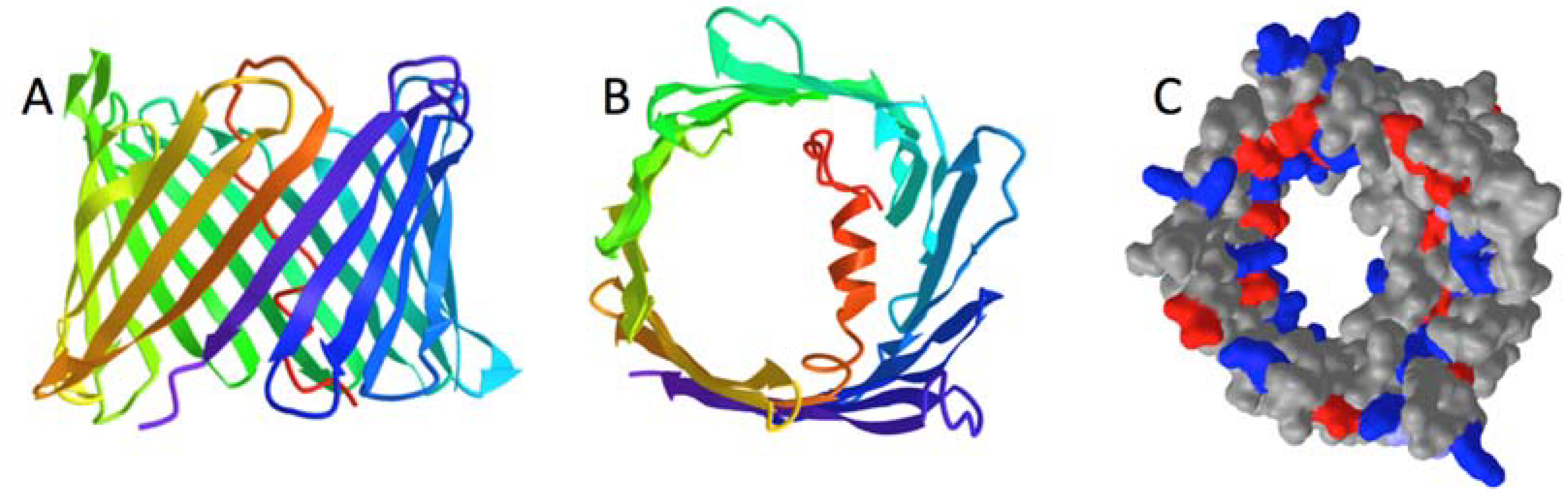Molecules 28 03309 g001 Molecules 28 03309 g001
