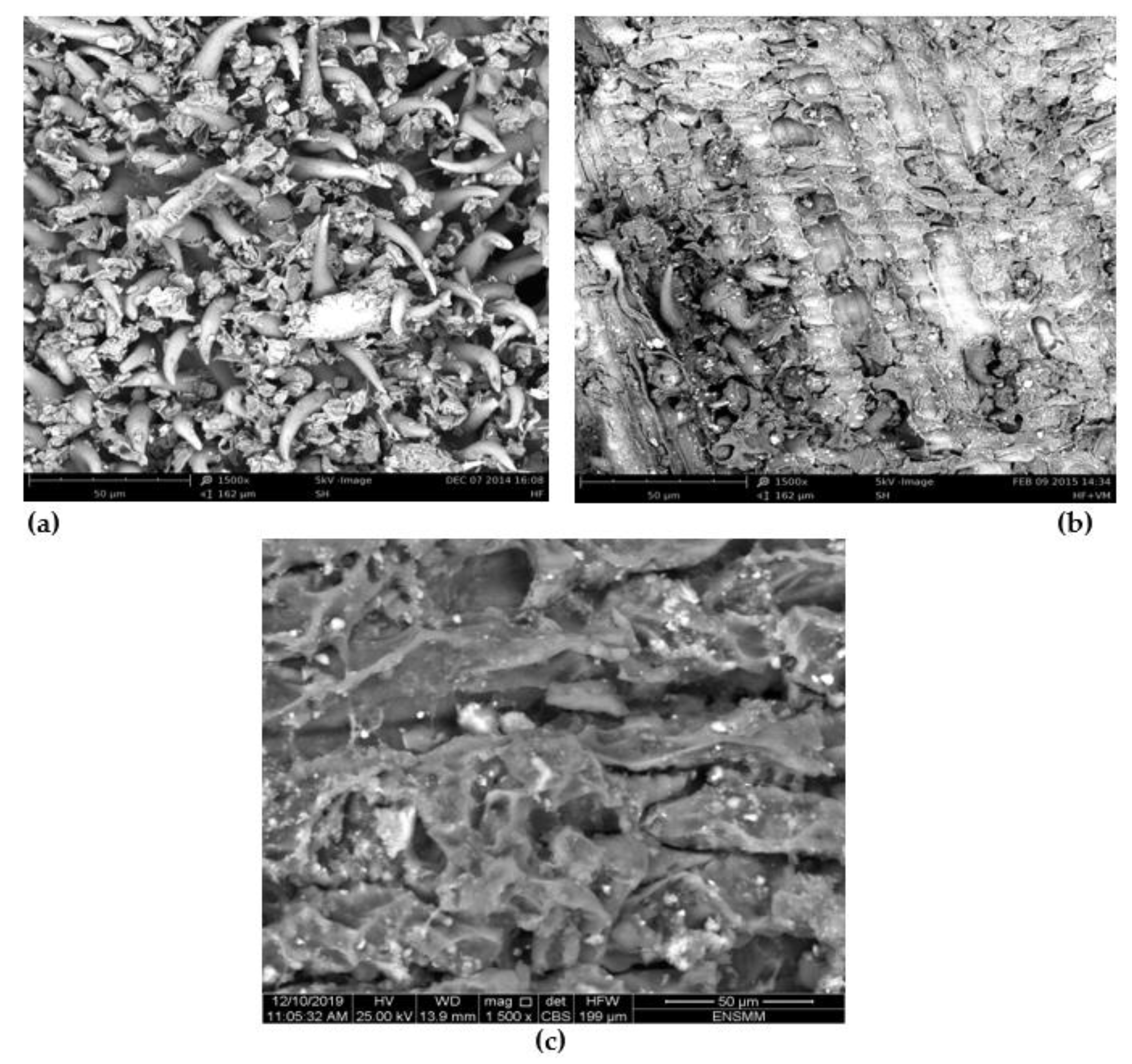 Molecules 28 03313 g002