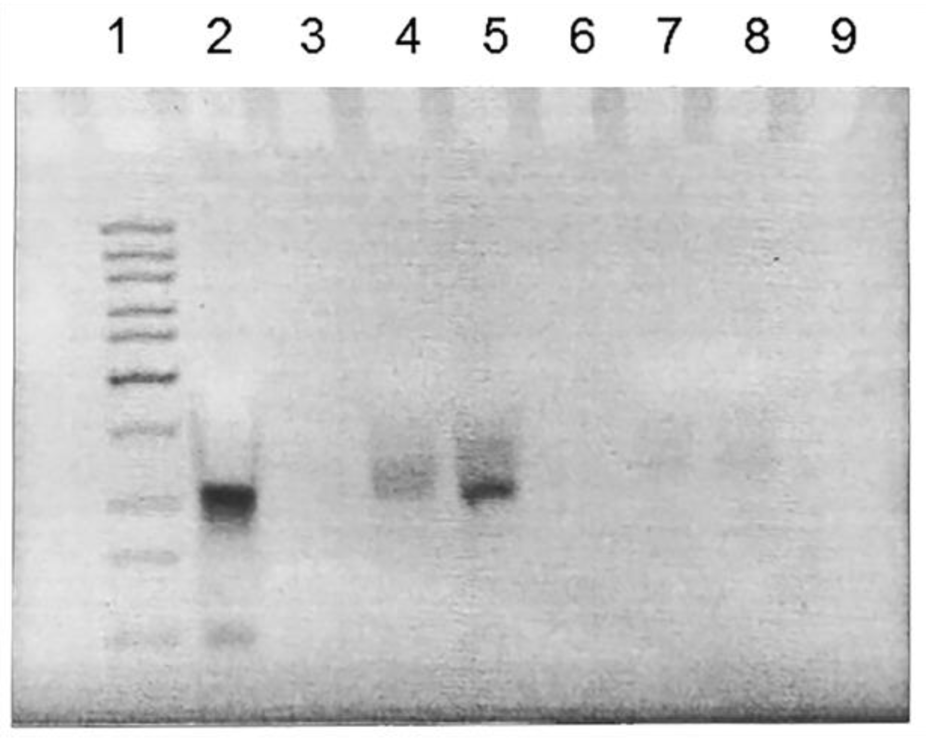 Molecules 28 03318 g002