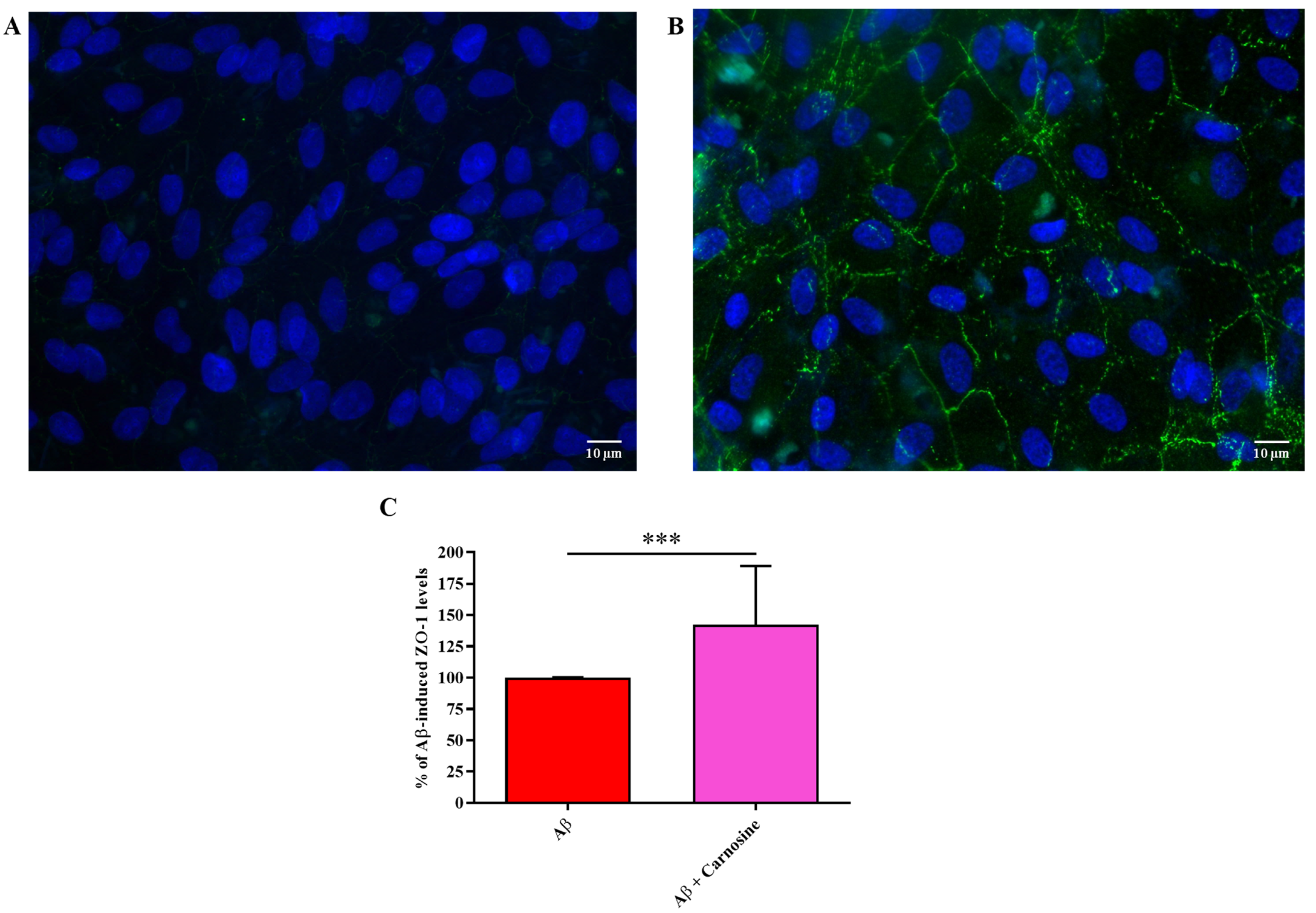 Molecules 28 03324 g005