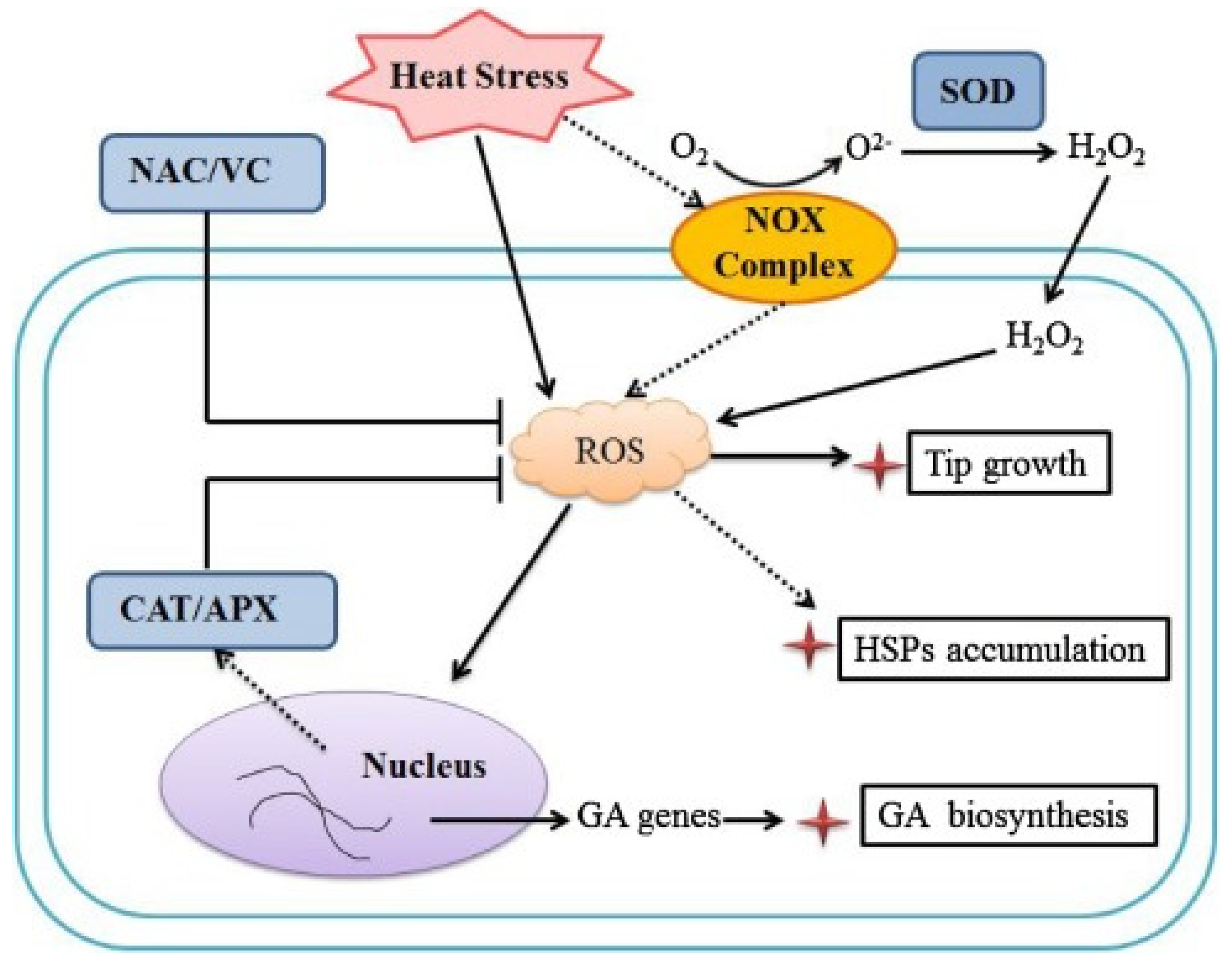 Molecules 28 03332 g001