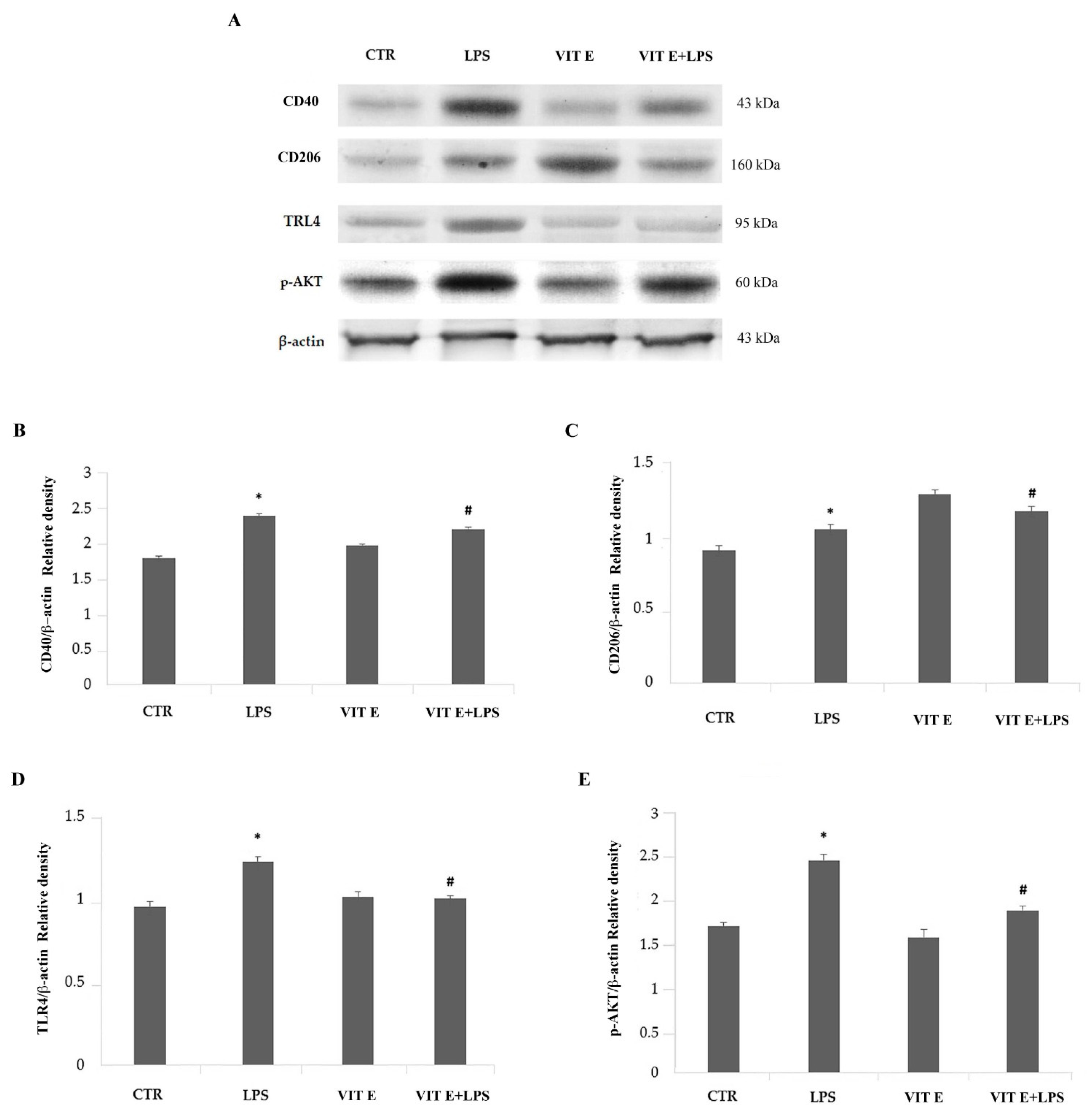 Molecules 28 03340 g005