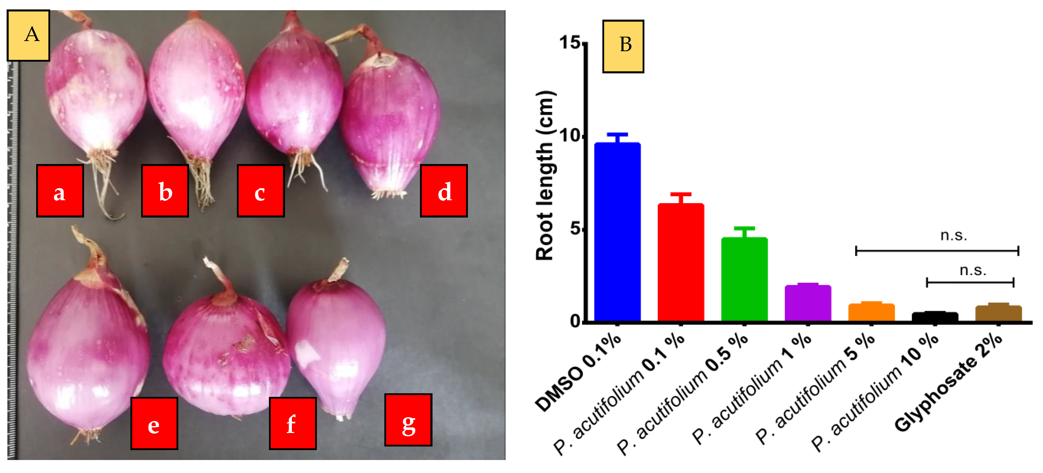 Molecules 28 03348 g003 Molecules 28 03348 g003