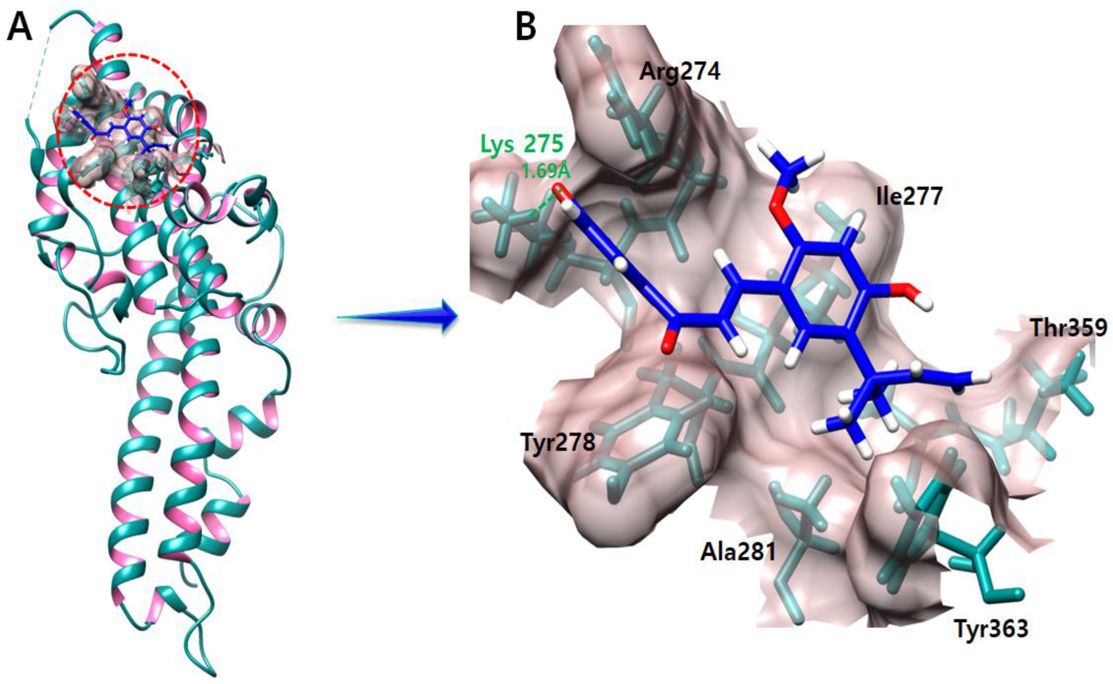 Molecules 28 03358 g007