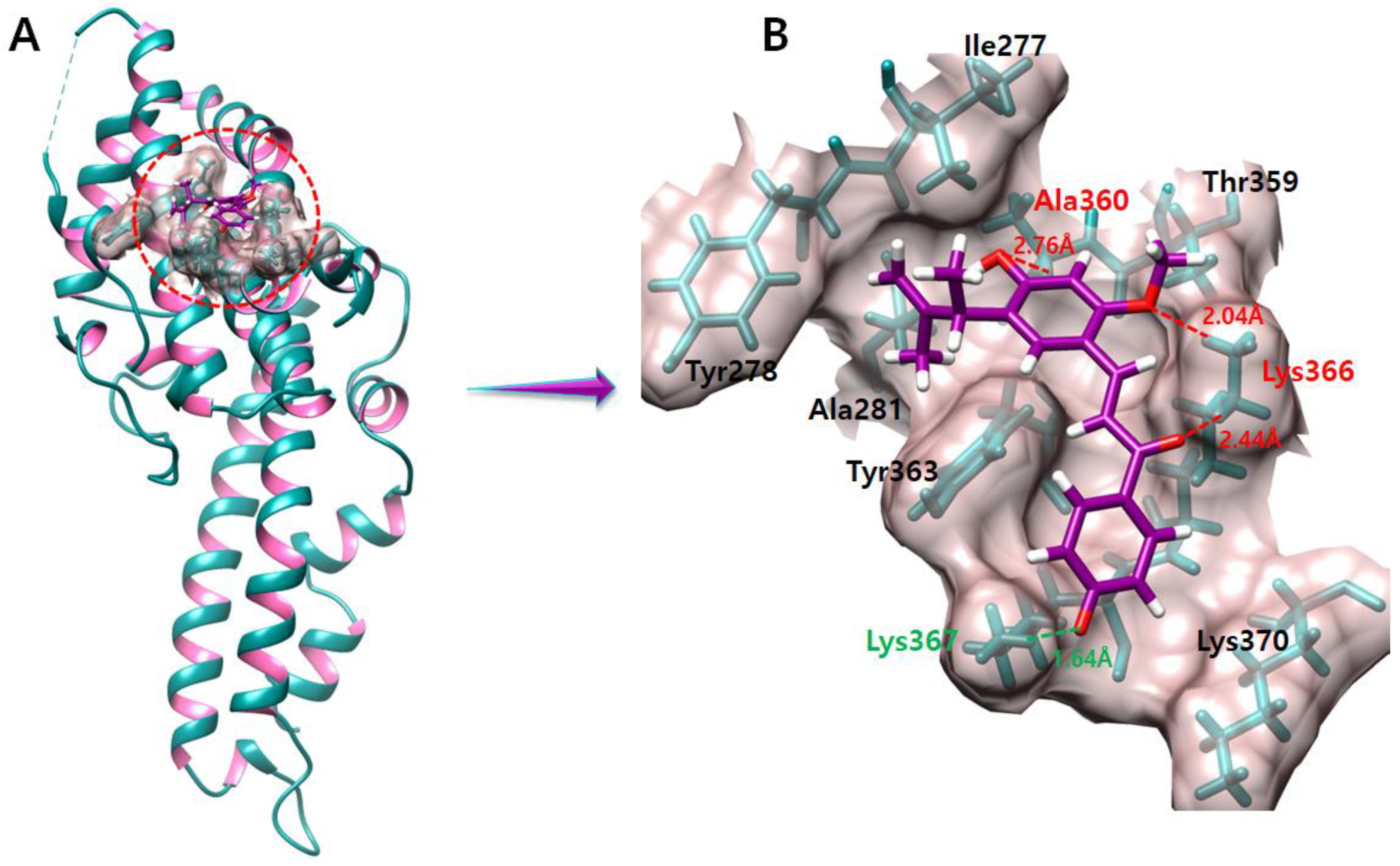 Molecules 28 03358 g008