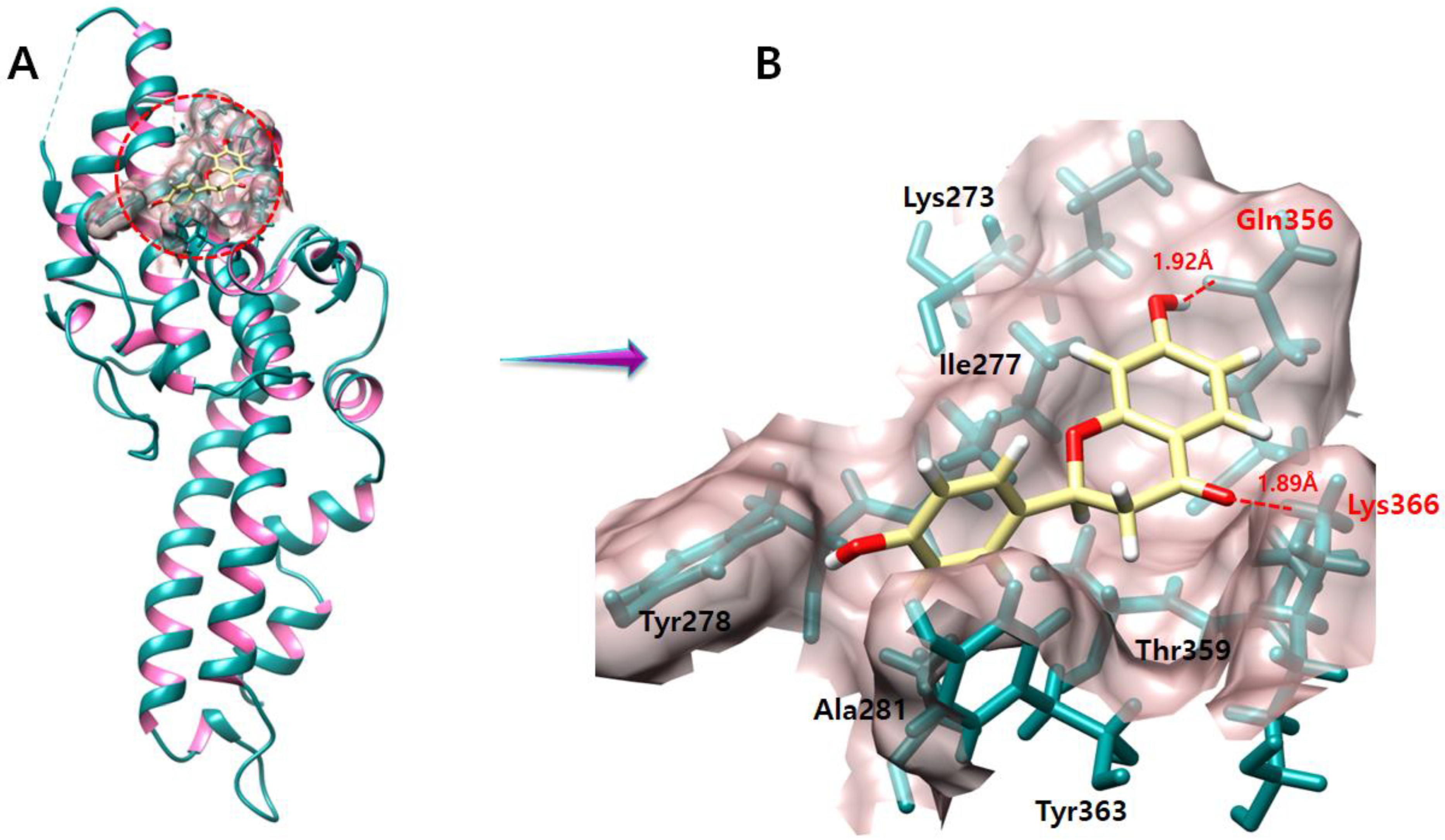 Molecules 28 03358 g009