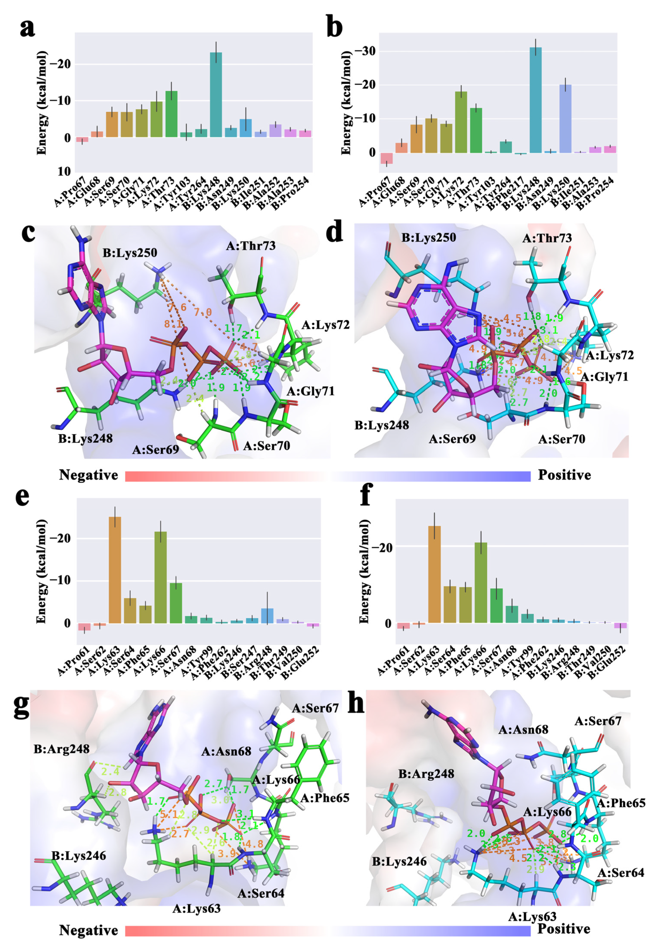 Molecules 28 03363 g005