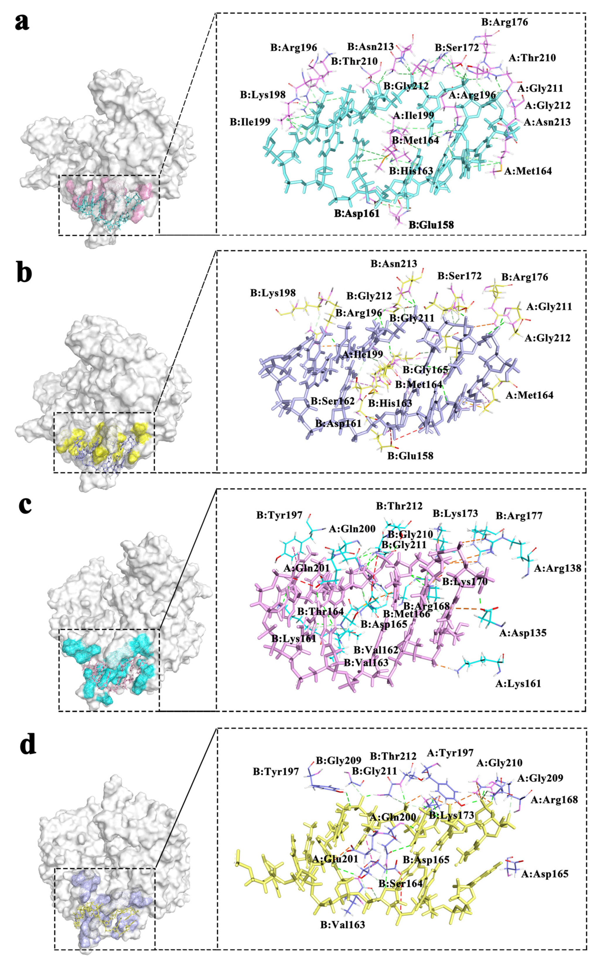 Molecules 28 03363 g006