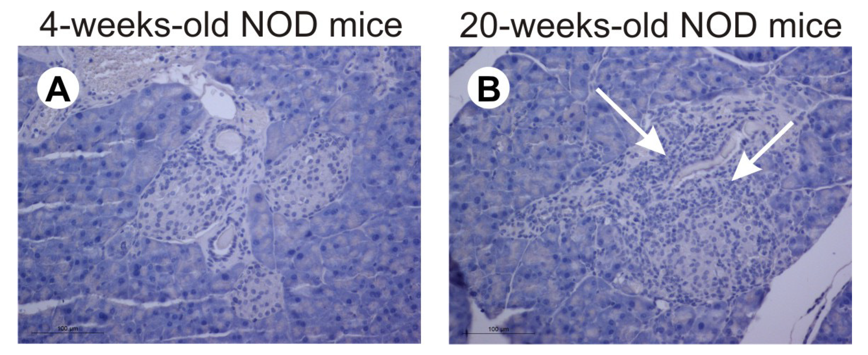 Molecules 28 03366 g003 Molecules 28 03366 g003