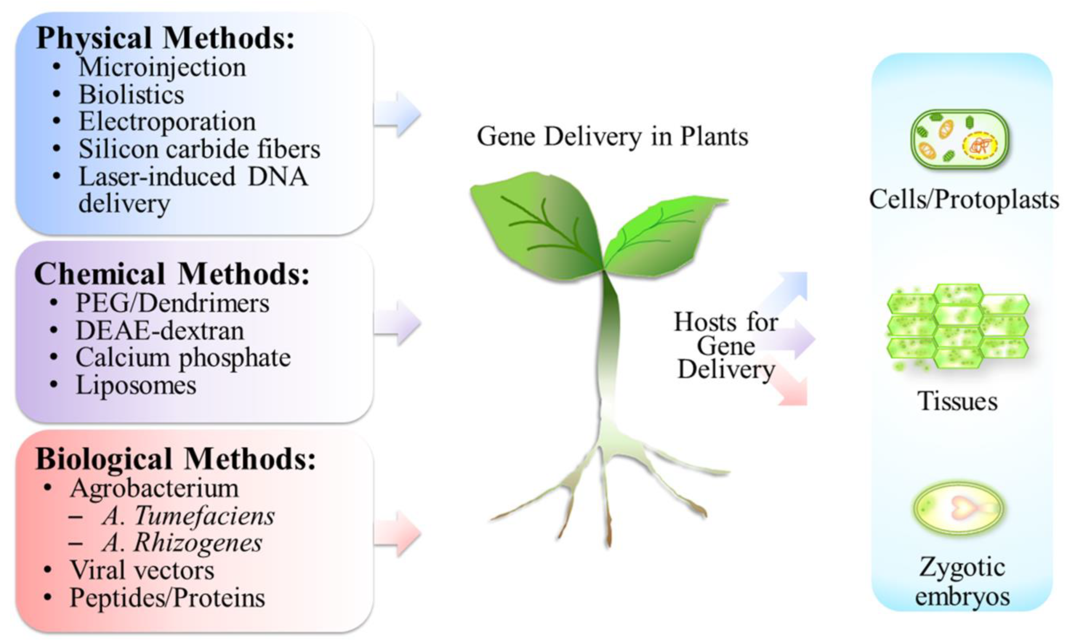Molecules 28 03367 g001
