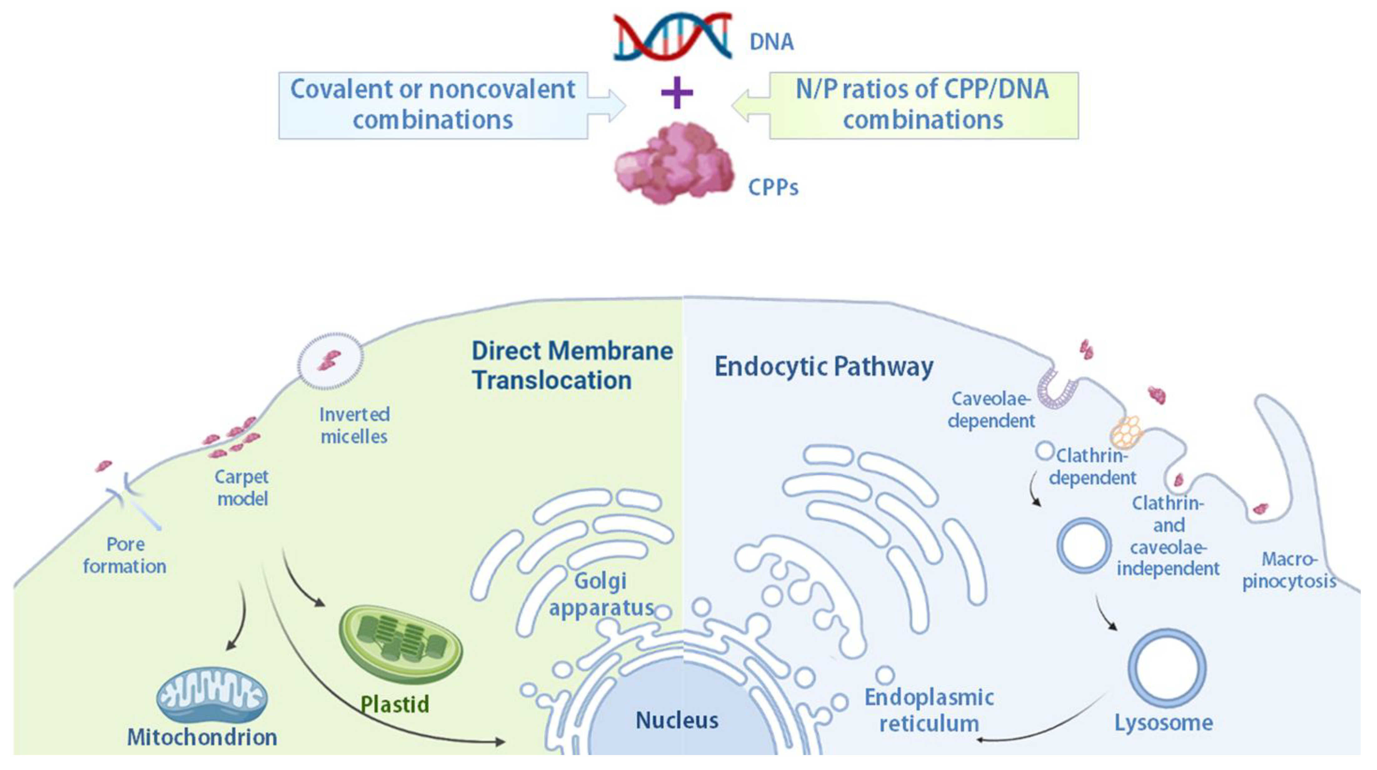 Molecules 28 03367 g002