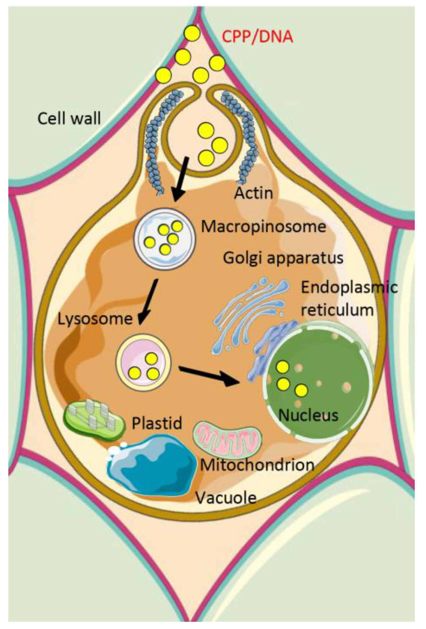 Molecules 28 03367 g003