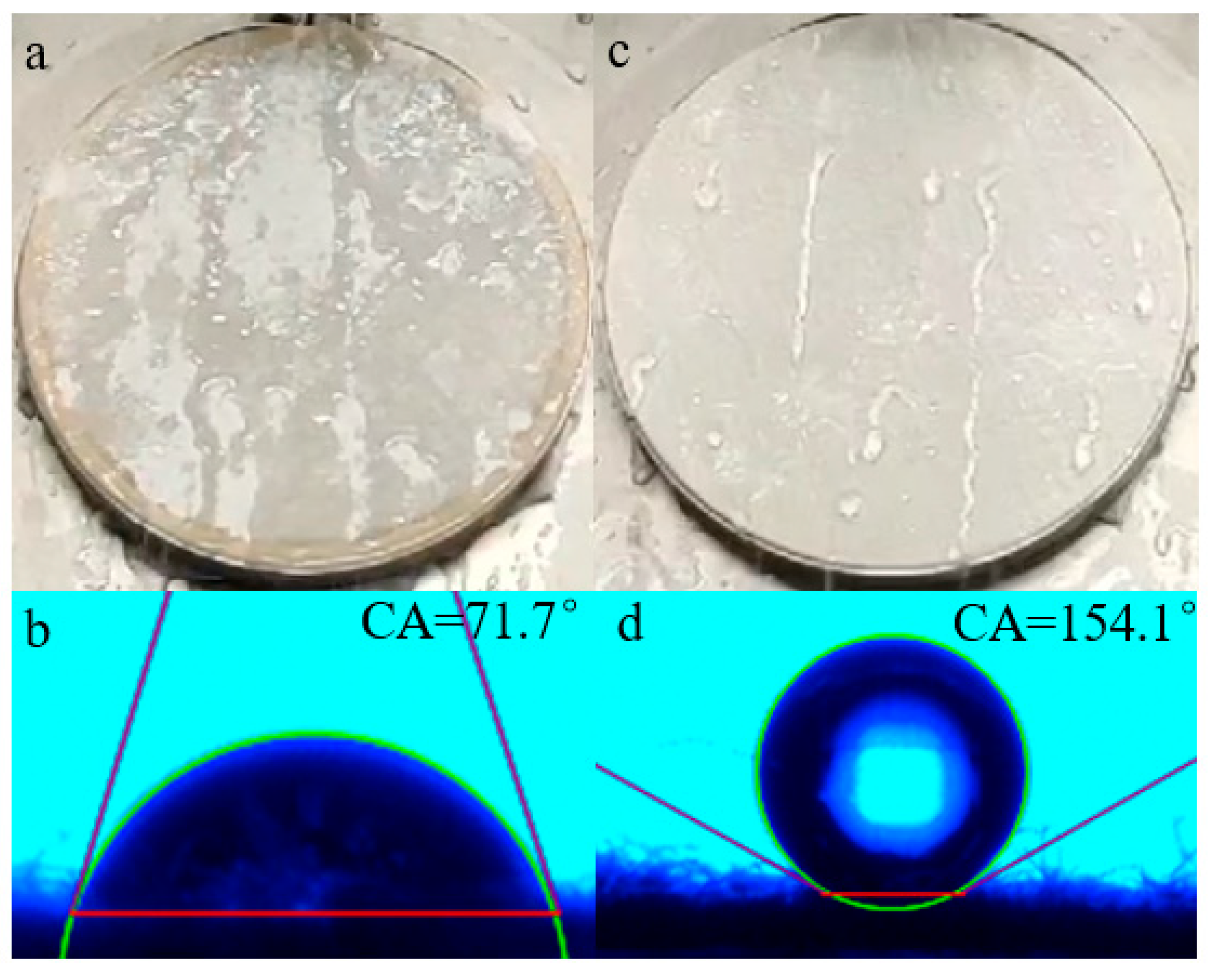 Molecules 28 03369 g013 Molecules 28 03369 g013