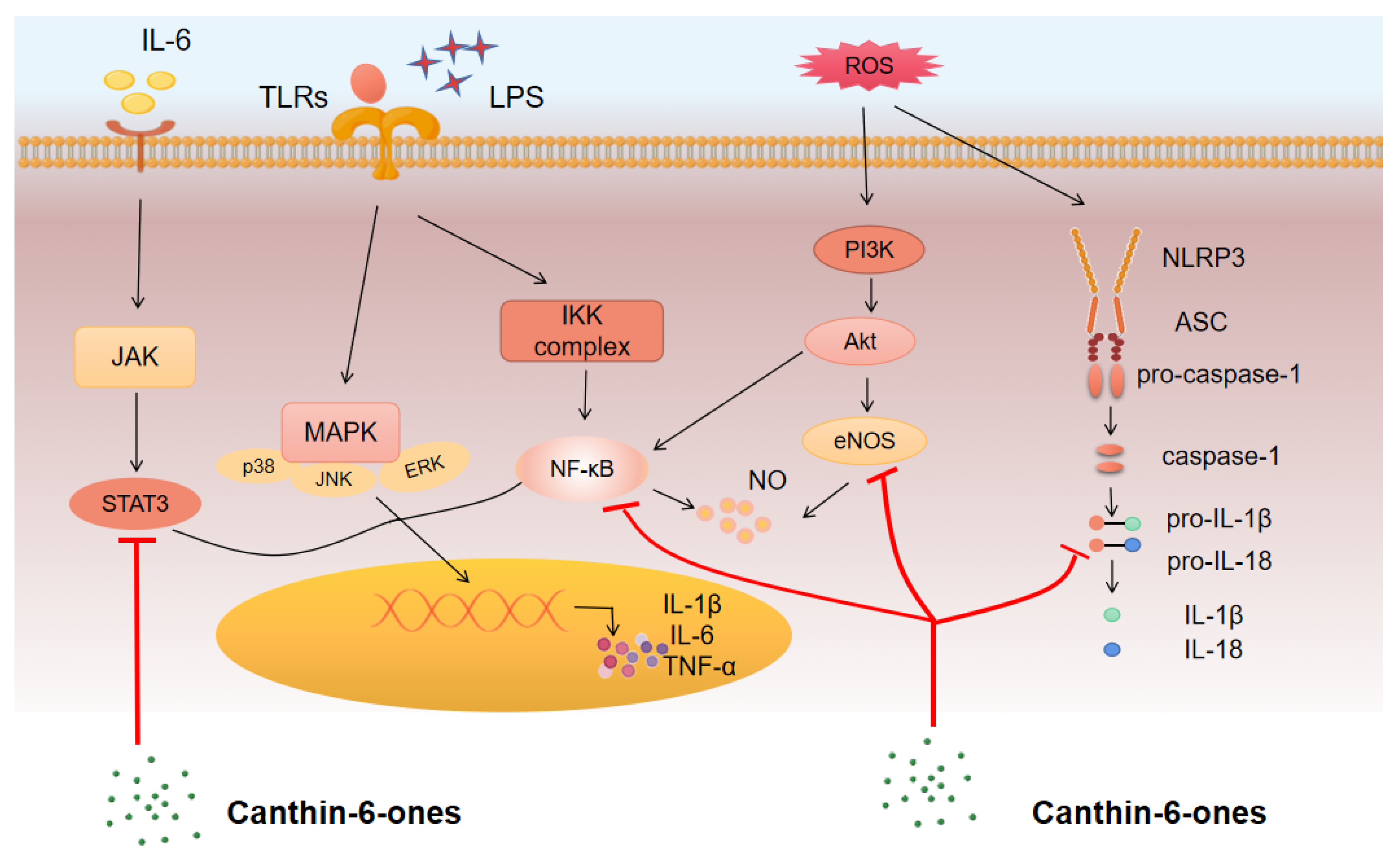 Molecules 28 03381 g002