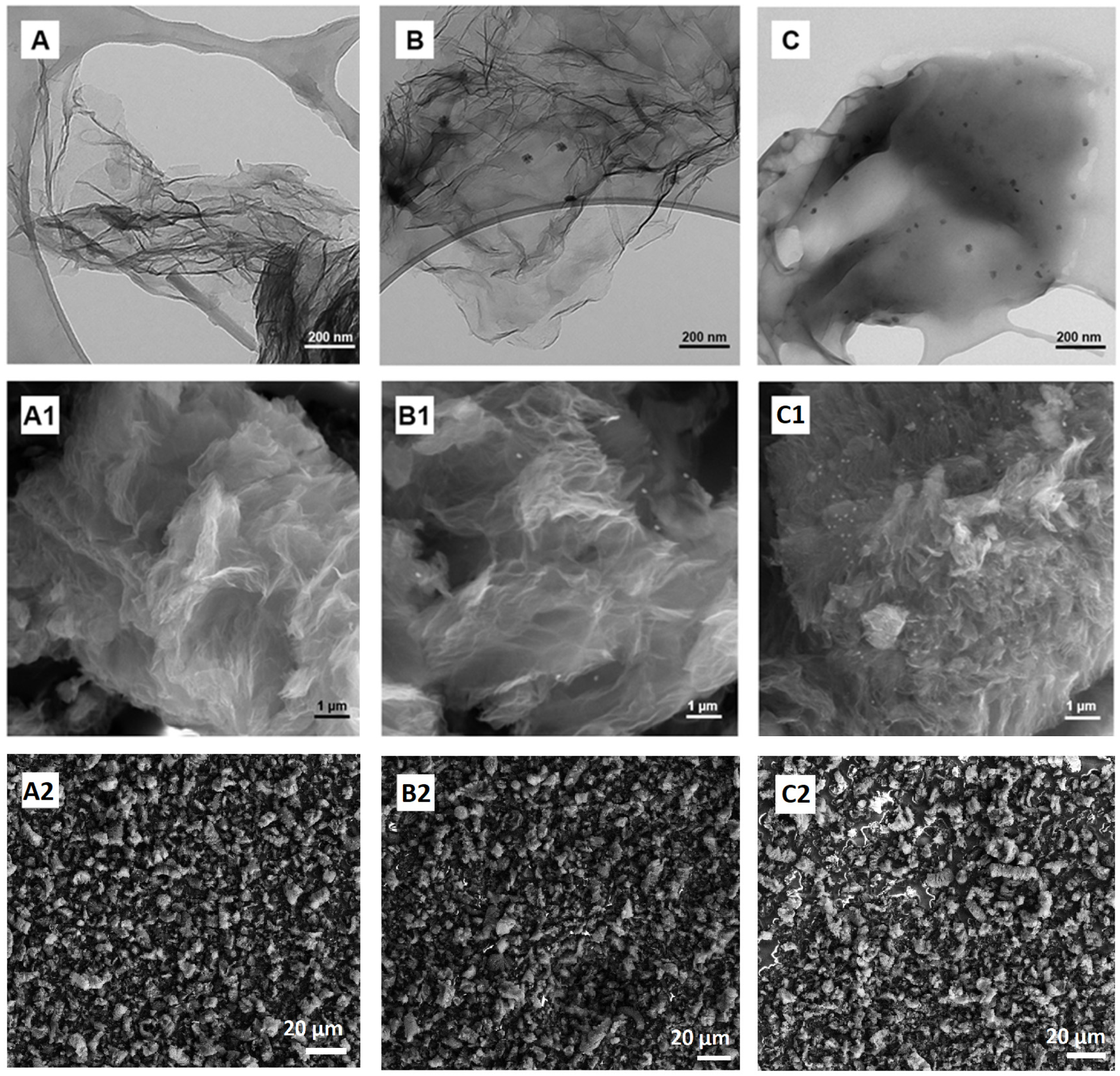 Molecules 28 03383 g005