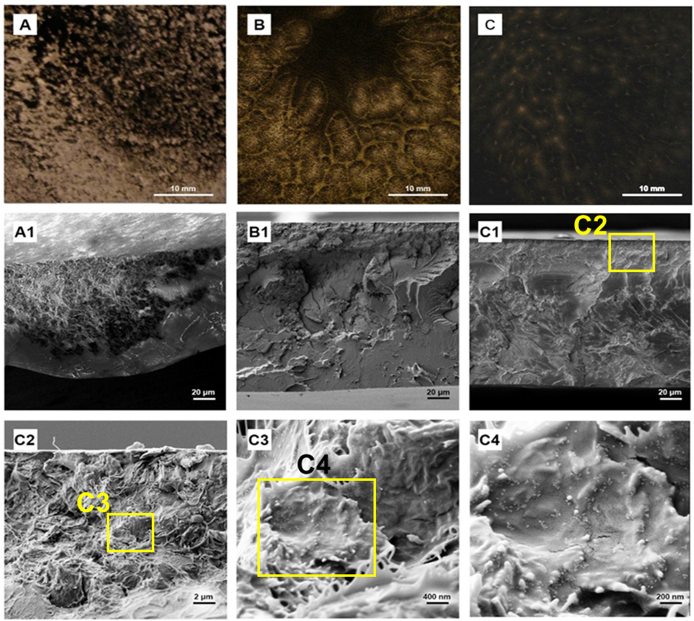 Molecules 28 03383 g010