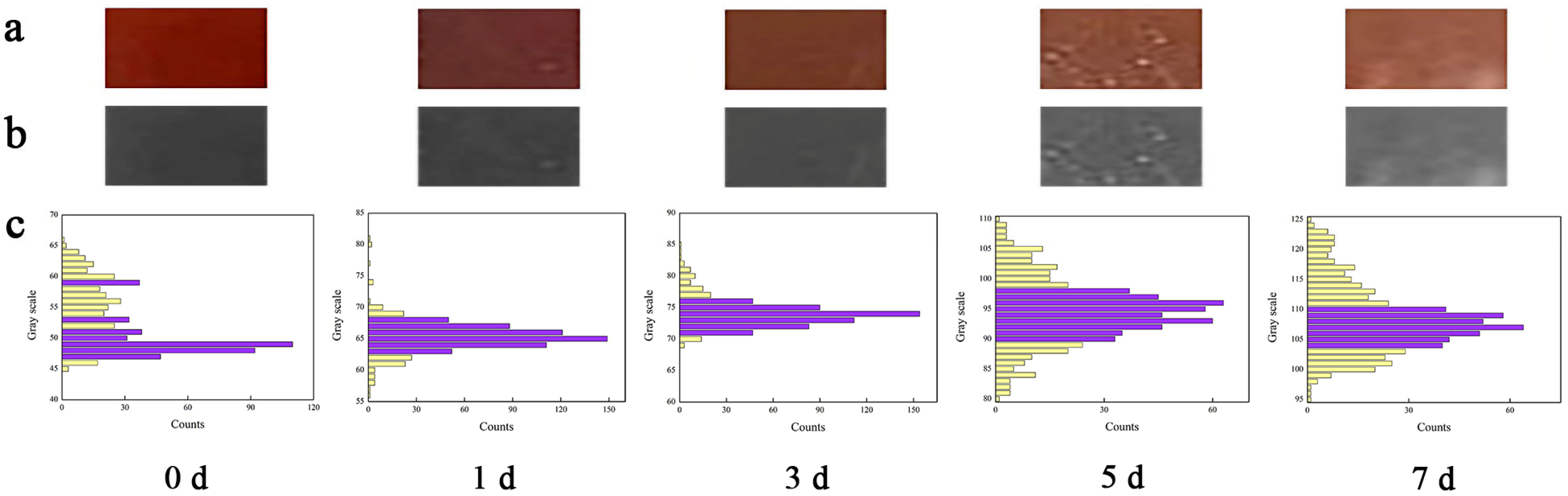 Molecules 28 03384 g006