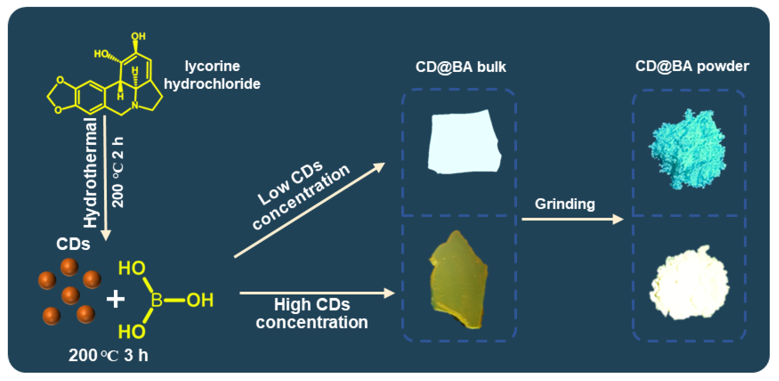 Molecules 28 03388 g001