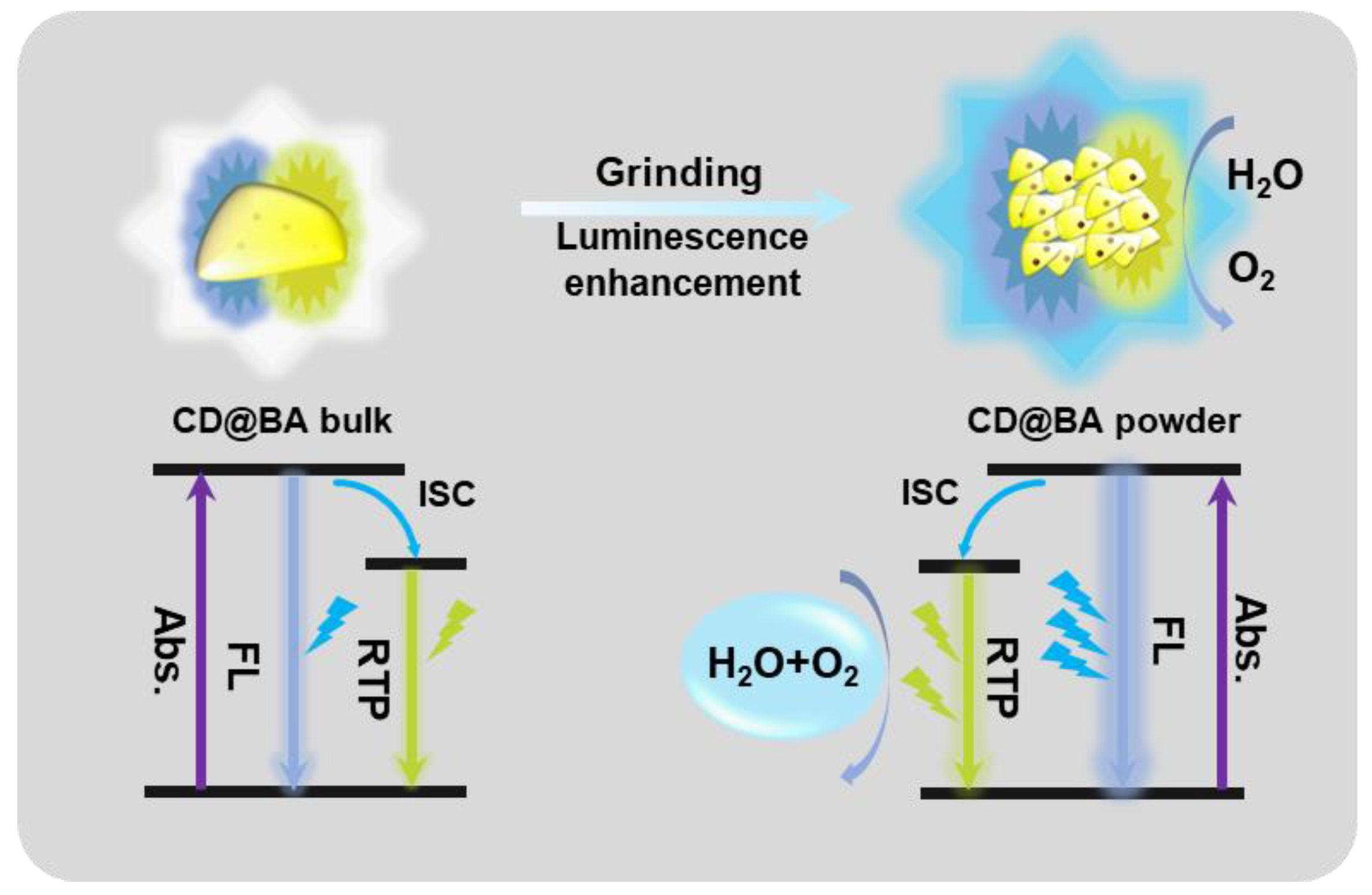 Molecules 28 03388 g004