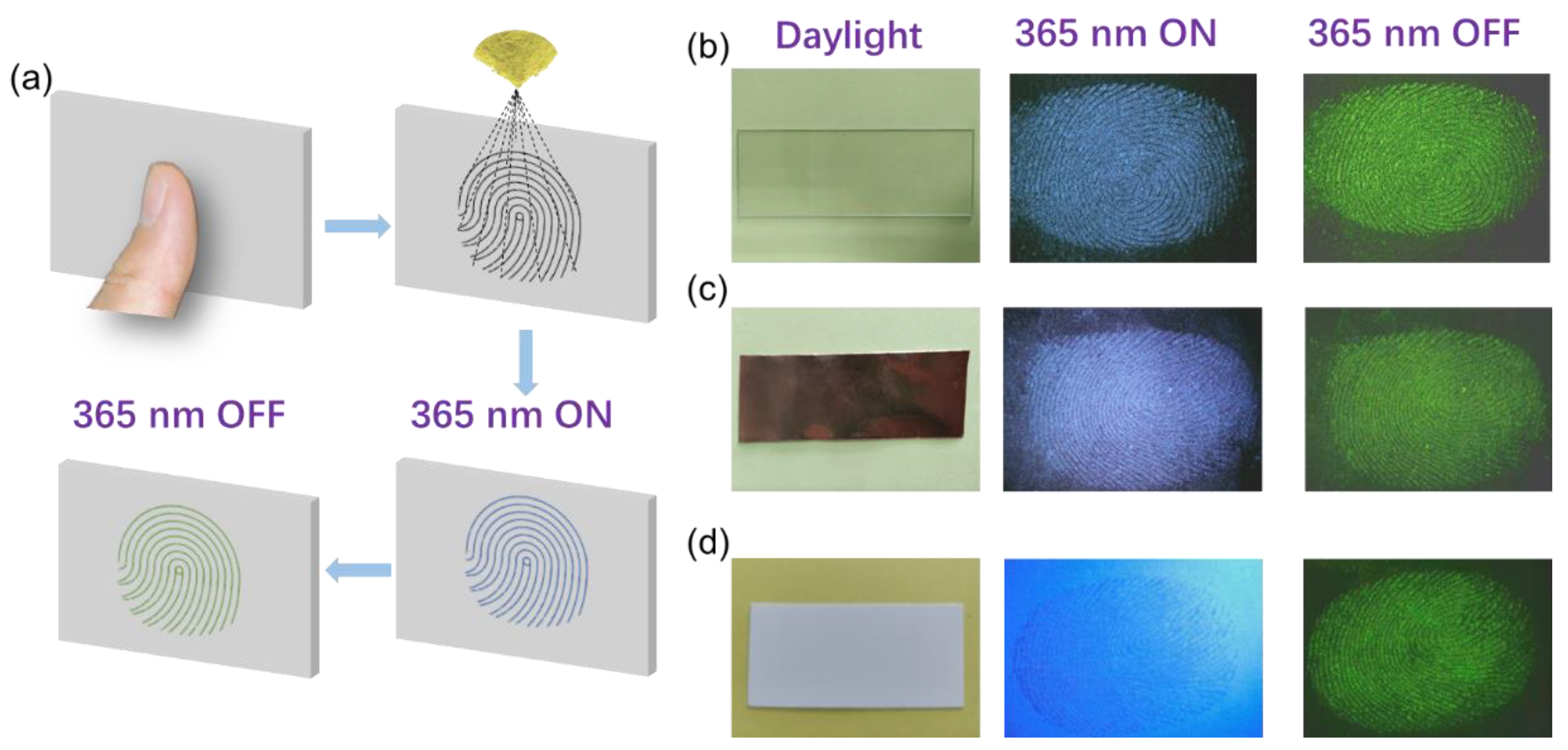 Molecules 28 03388 g005