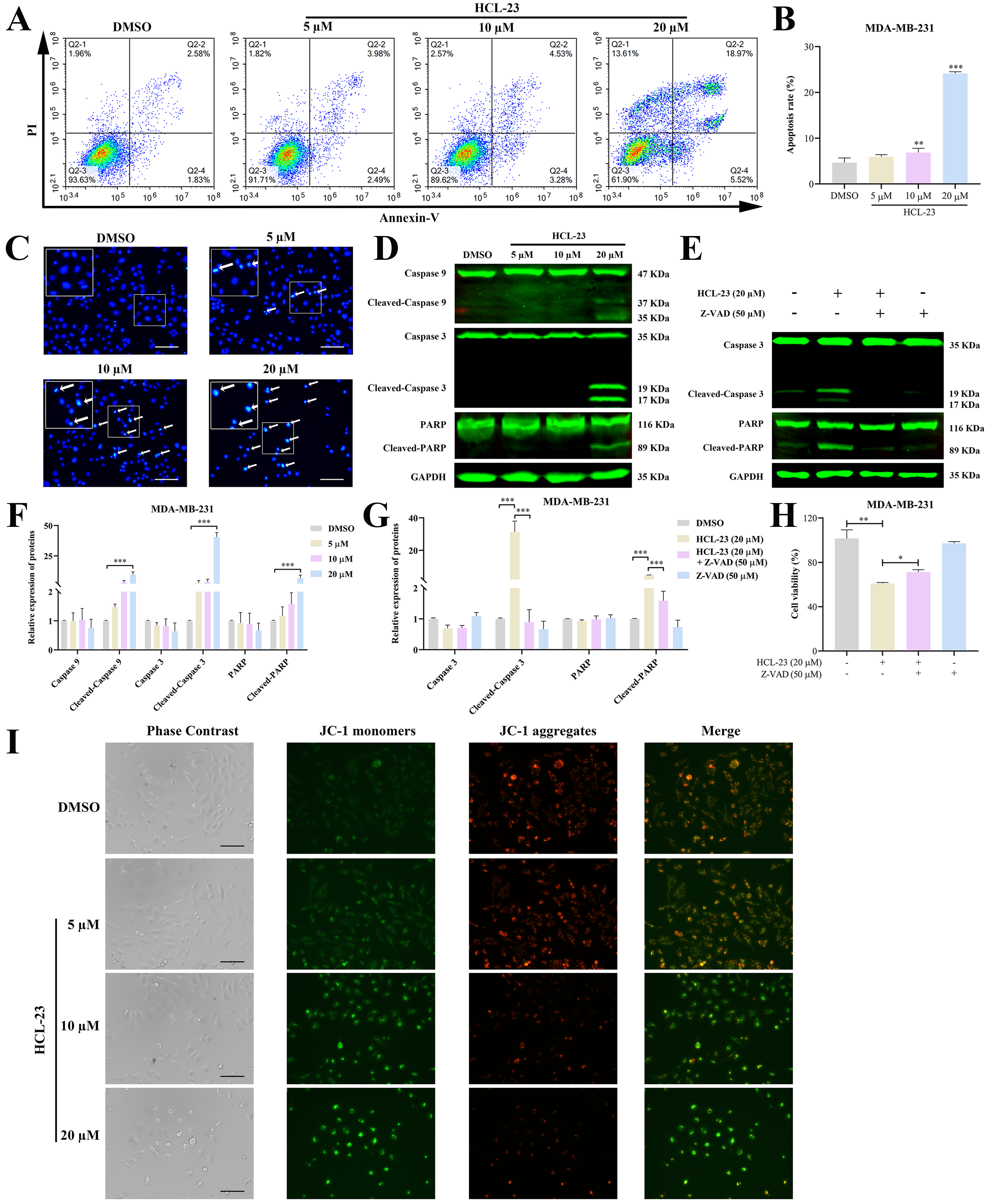Molecules 28 03389 g005